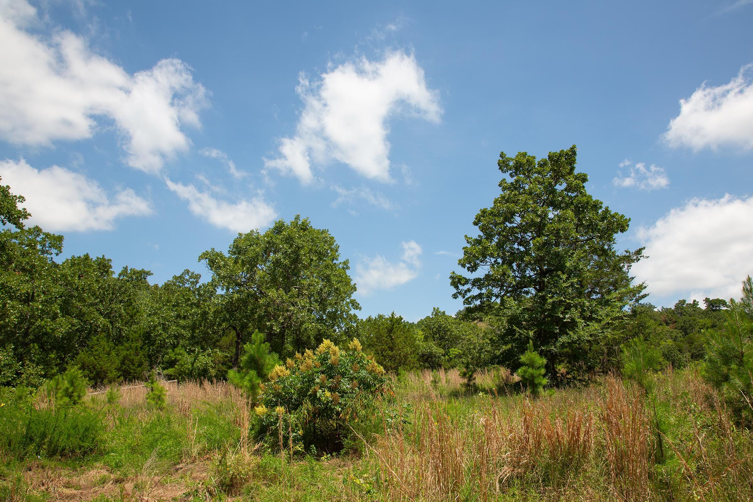 Tyler Stone Ranch Tract 79 photo 23