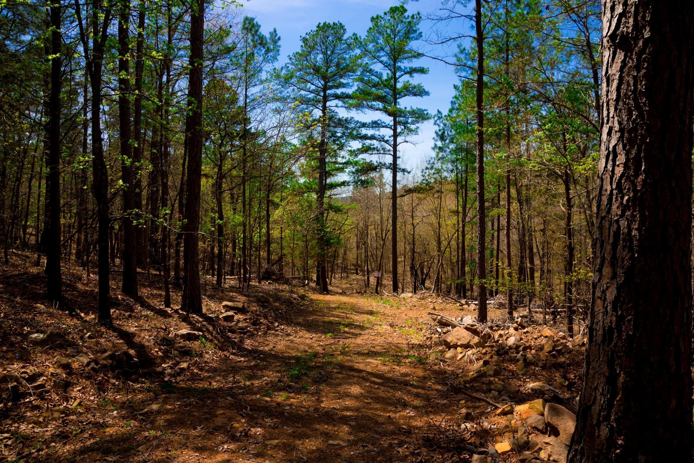 Stone Creek Phase II Tract 191 photo 1
