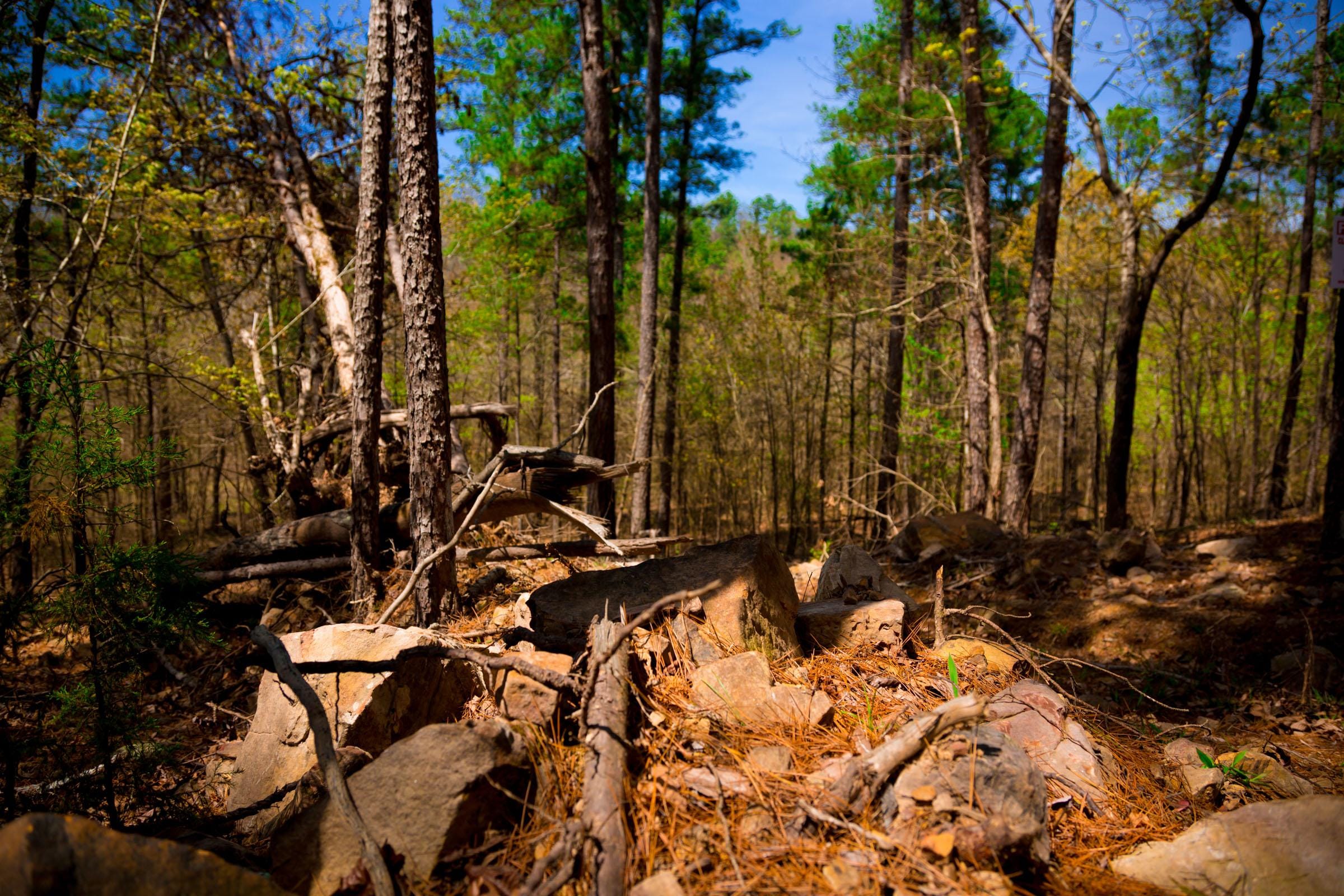 Stone Creek Phase II Tract 191 photo 8