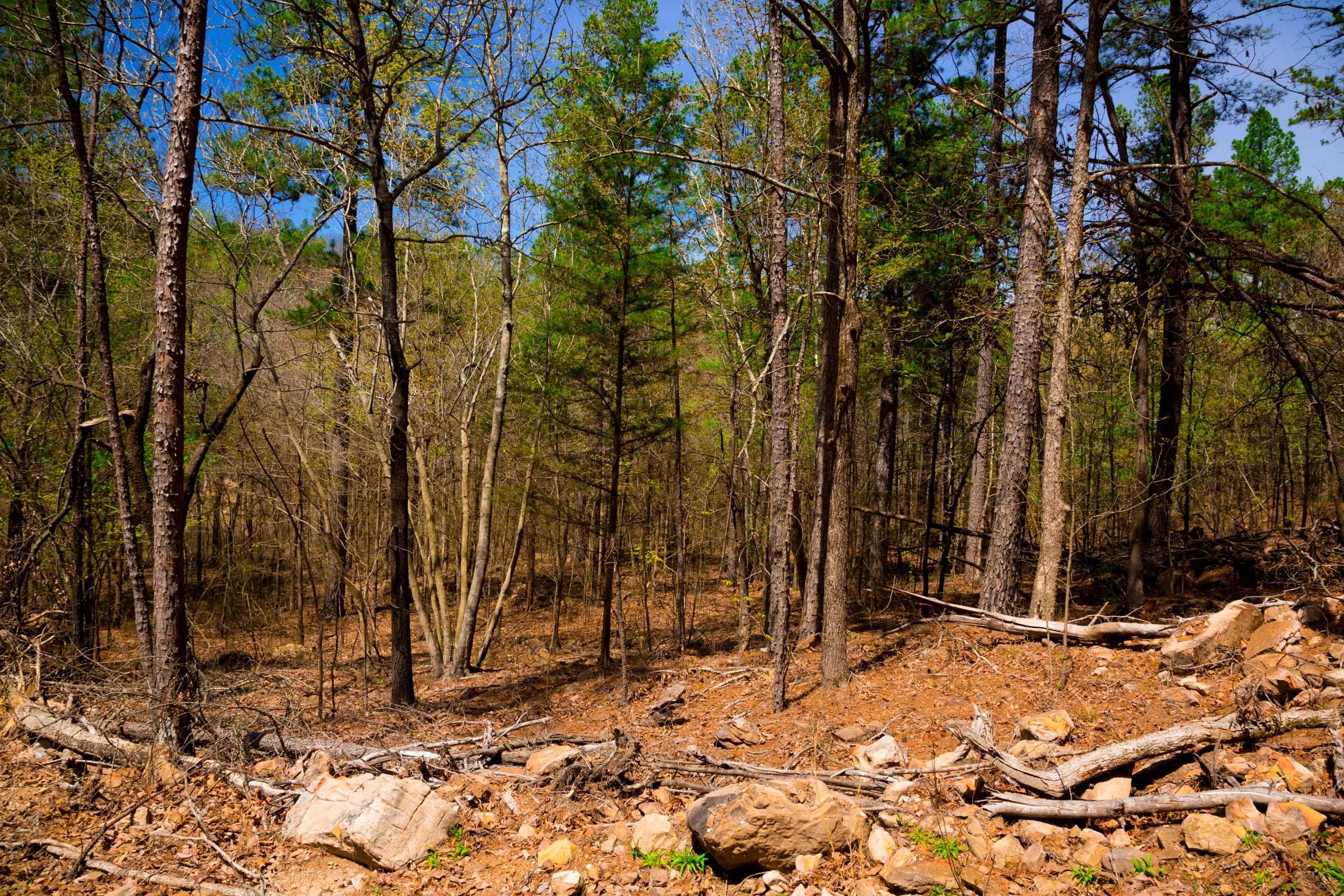 Stone Creek Phase II Tract 191 photo 9