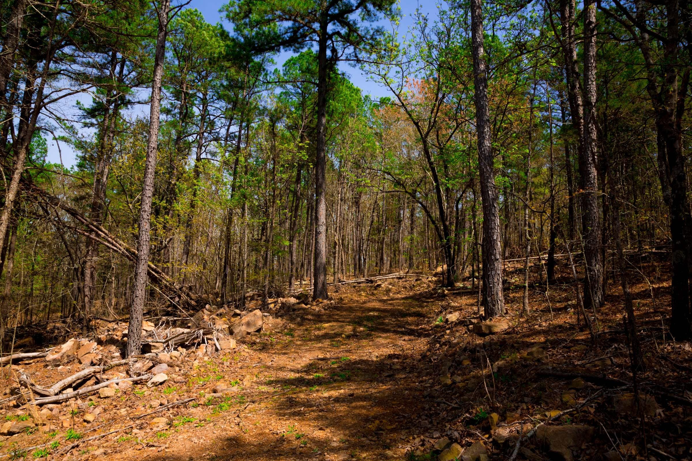 Stone Creek Phase II Tract 191 photo 11