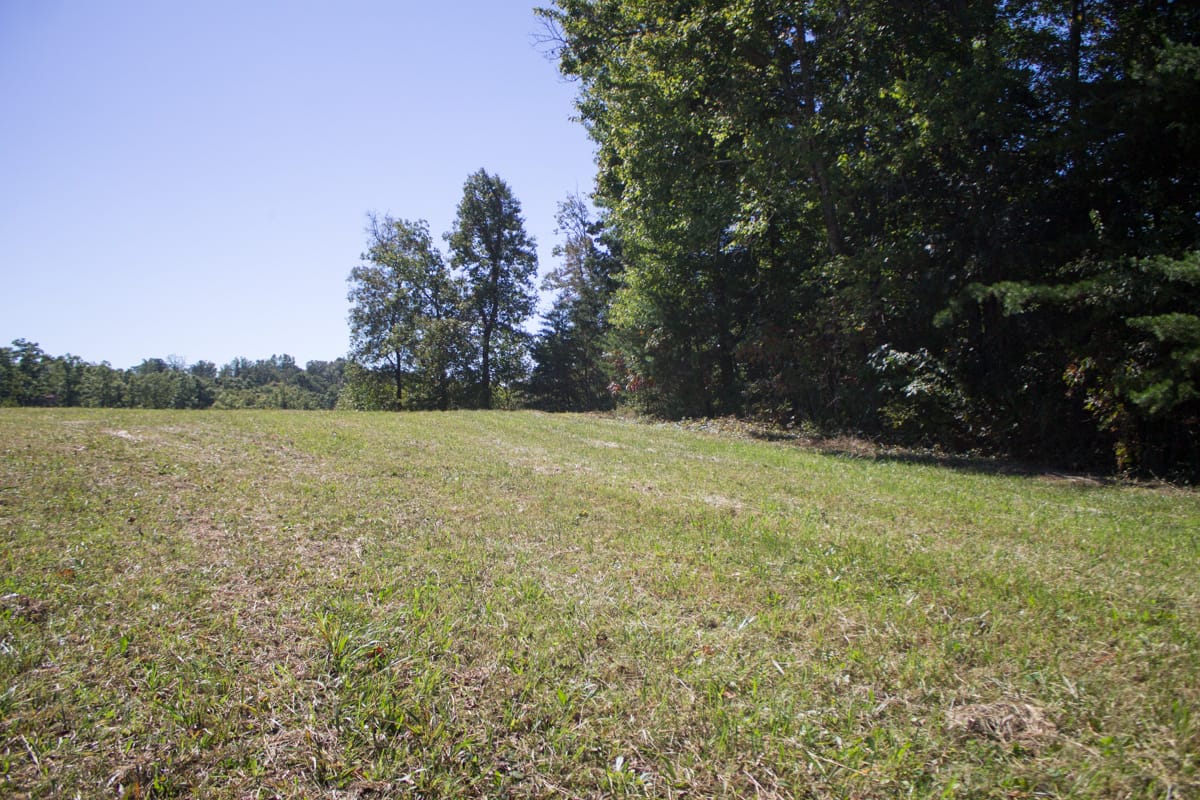 Upper Line Creek Tract 4 photo 6