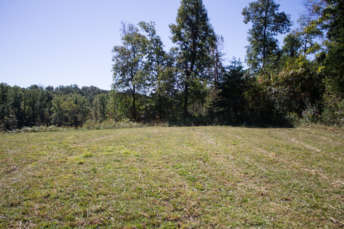 Upper Line Creek Tract 4 photo 7