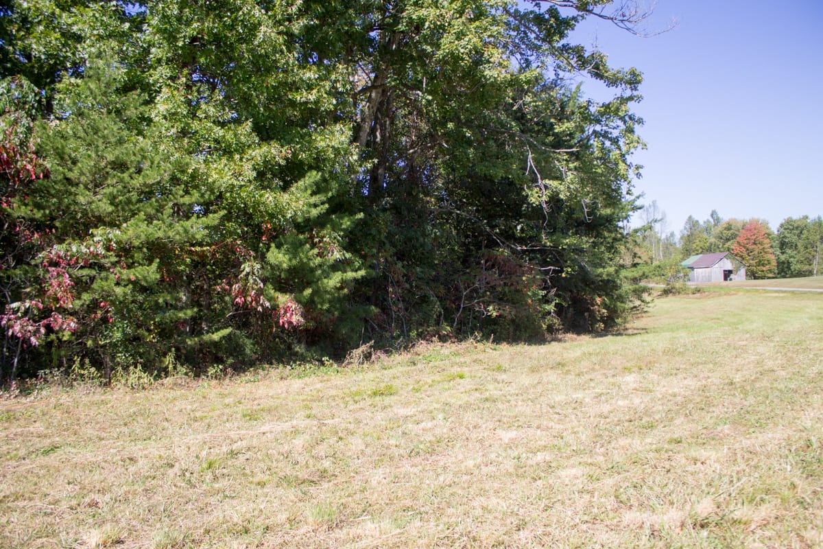 Upper Line Creek Tract 4 photo 8