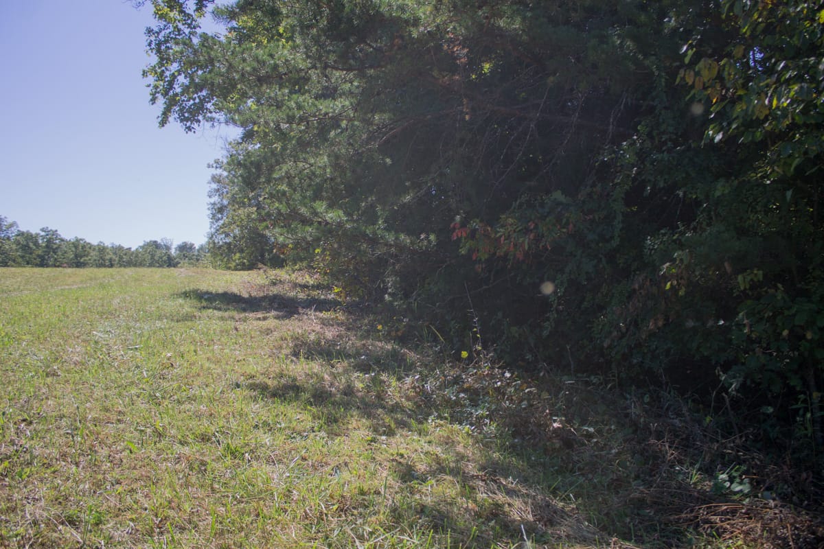 Upper Line Creek Tract 4 photo 12
