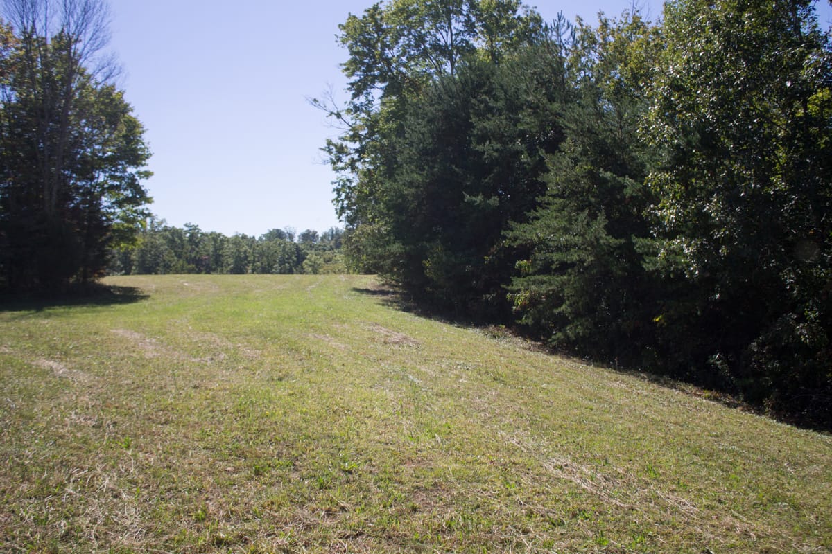 Upper Line Creek Tract 4 photo 15