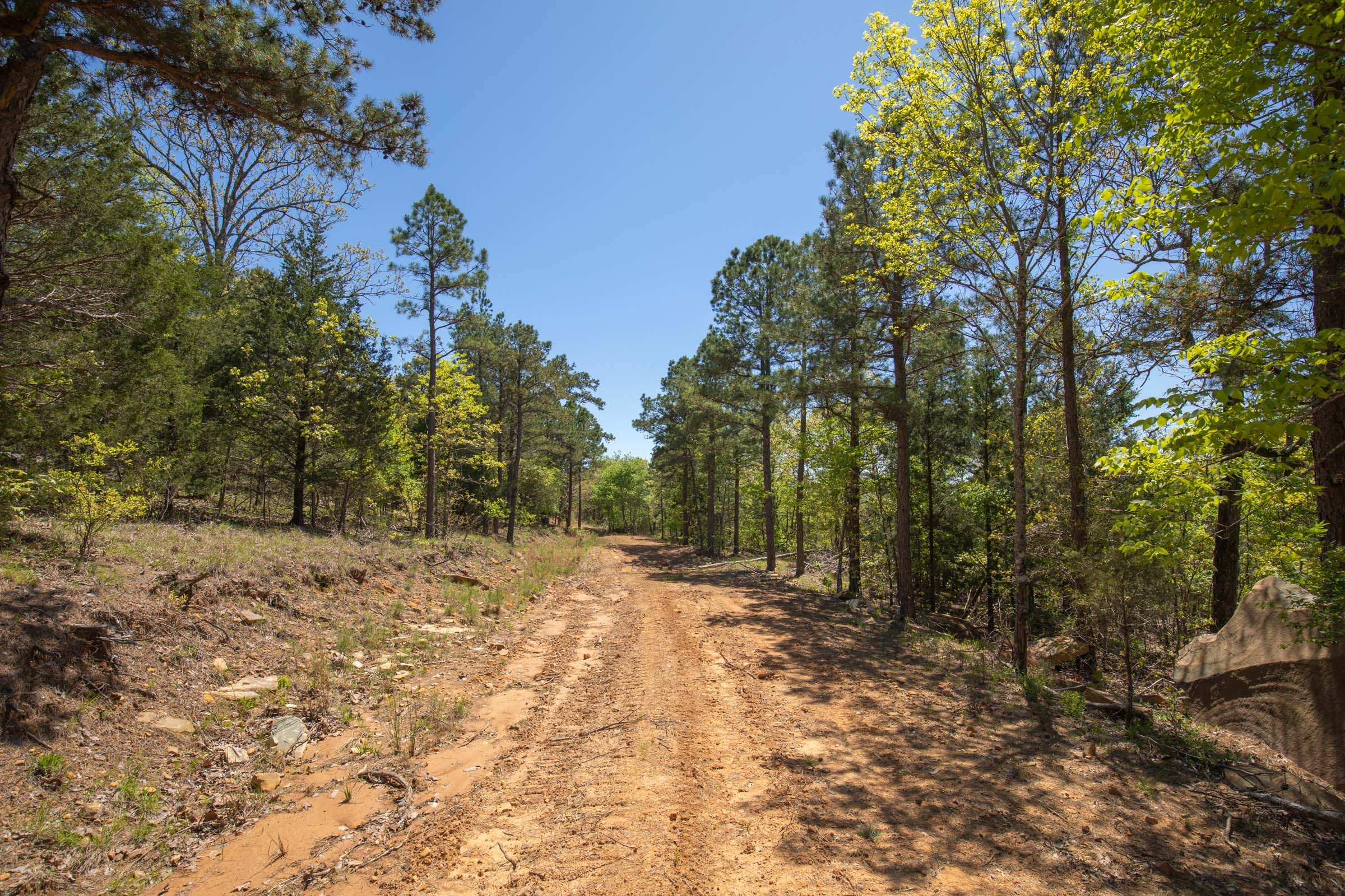 Eagle’s Nest Tract 12 photo 2