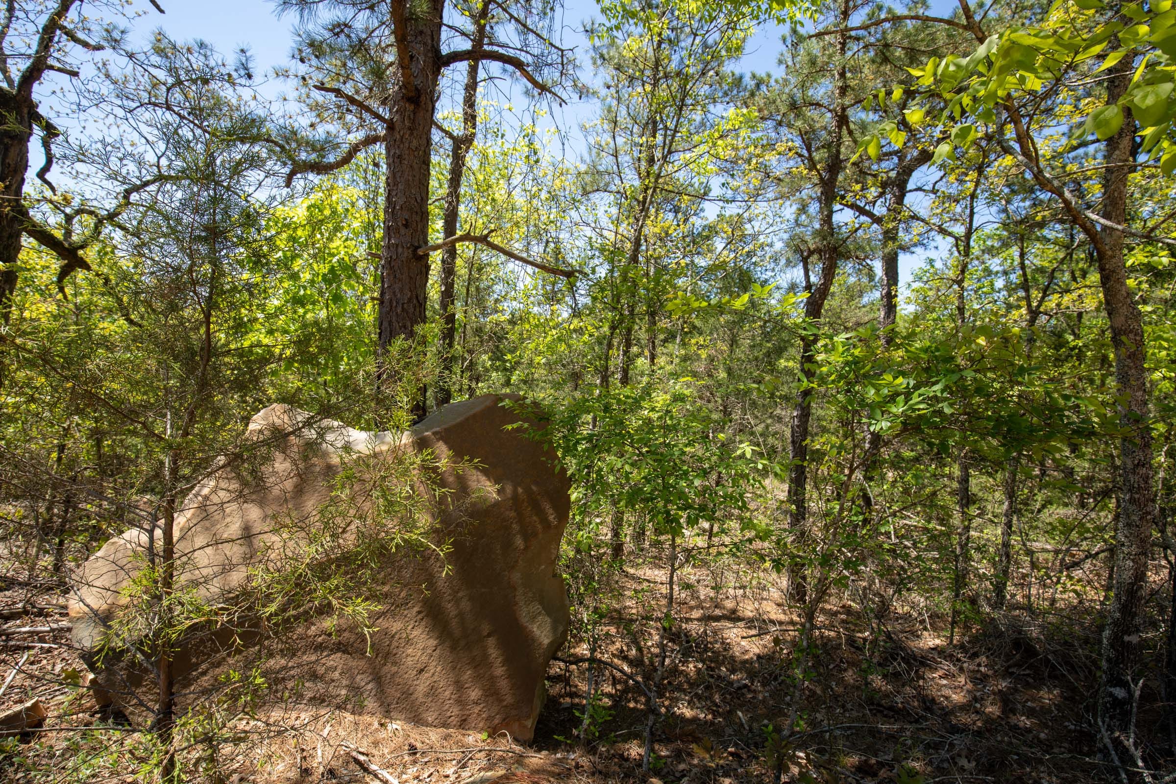 Eagle’s Nest Tract 12 photo 3