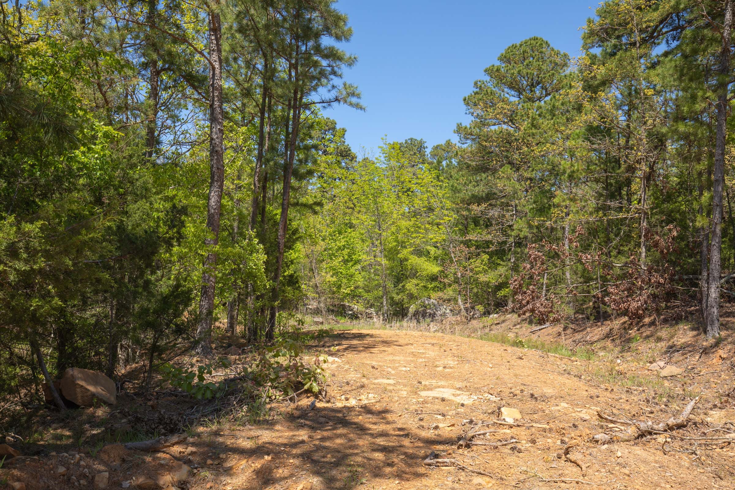 Eagle’s Nest Tract 12 photo 4