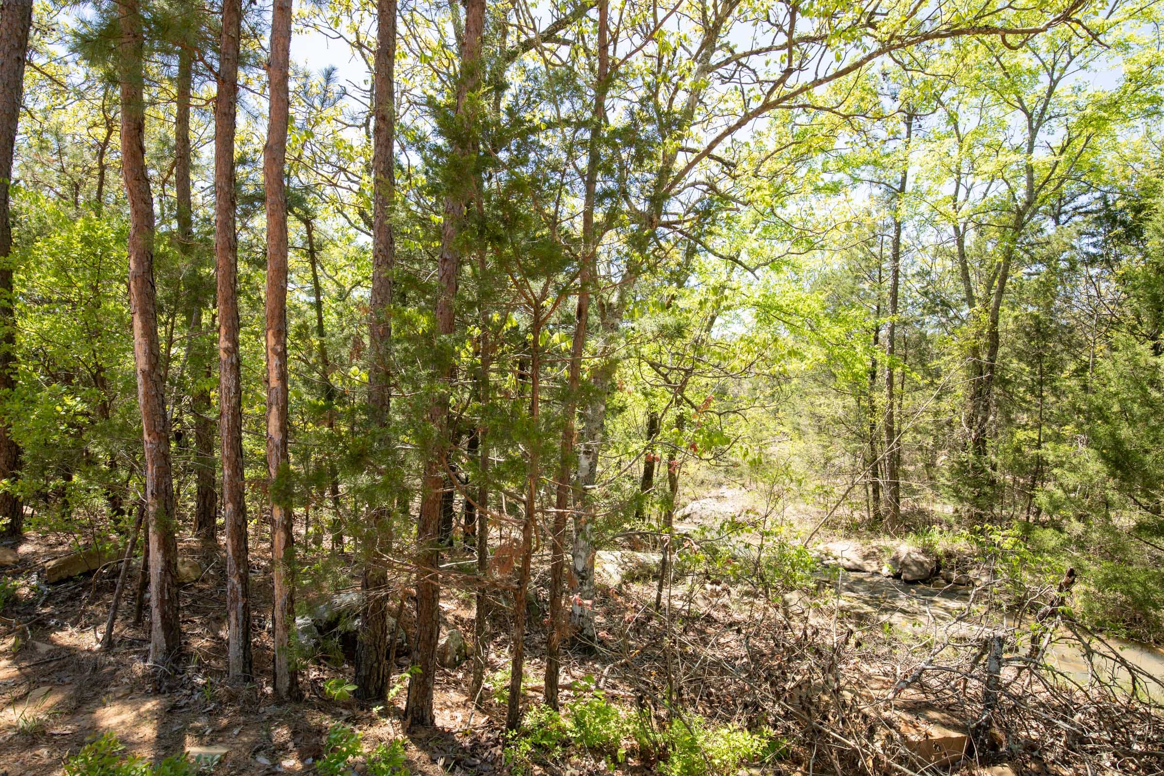 Eagle’s Nest Tract 12 photo 5