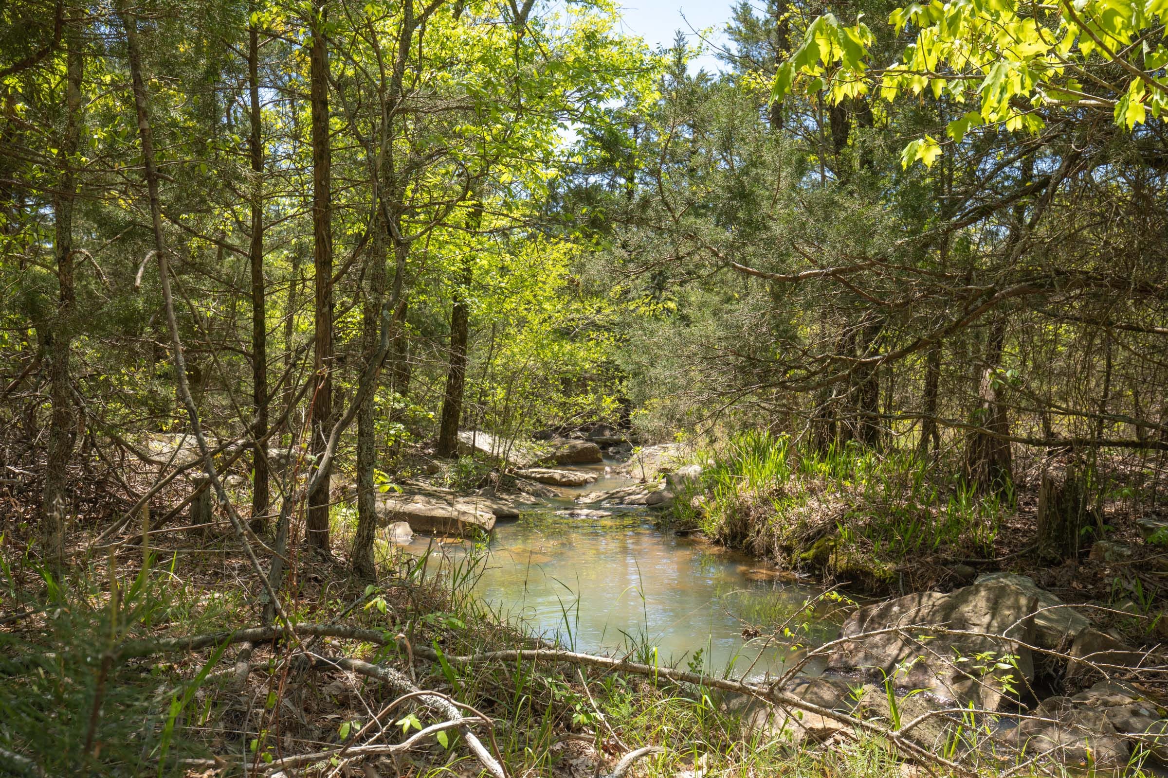 Eagle’s Nest Tract 12 photo 6