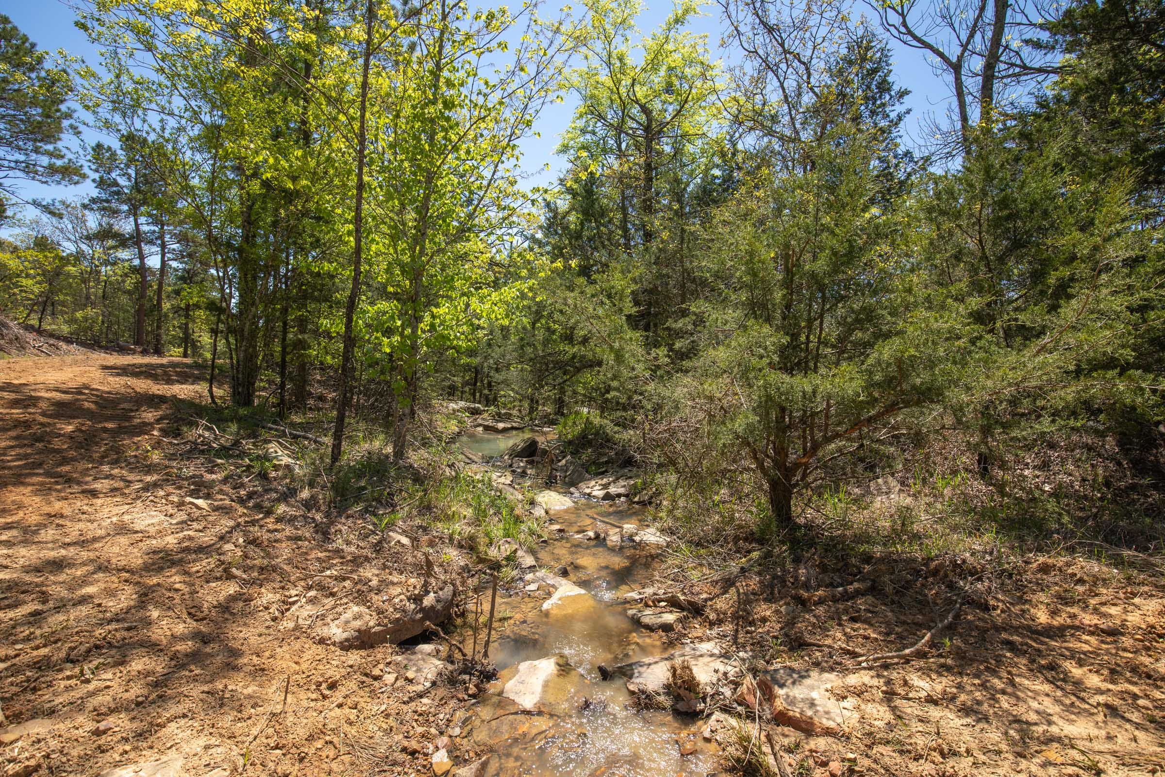 Eagle’s Nest Tract 12 photo 8