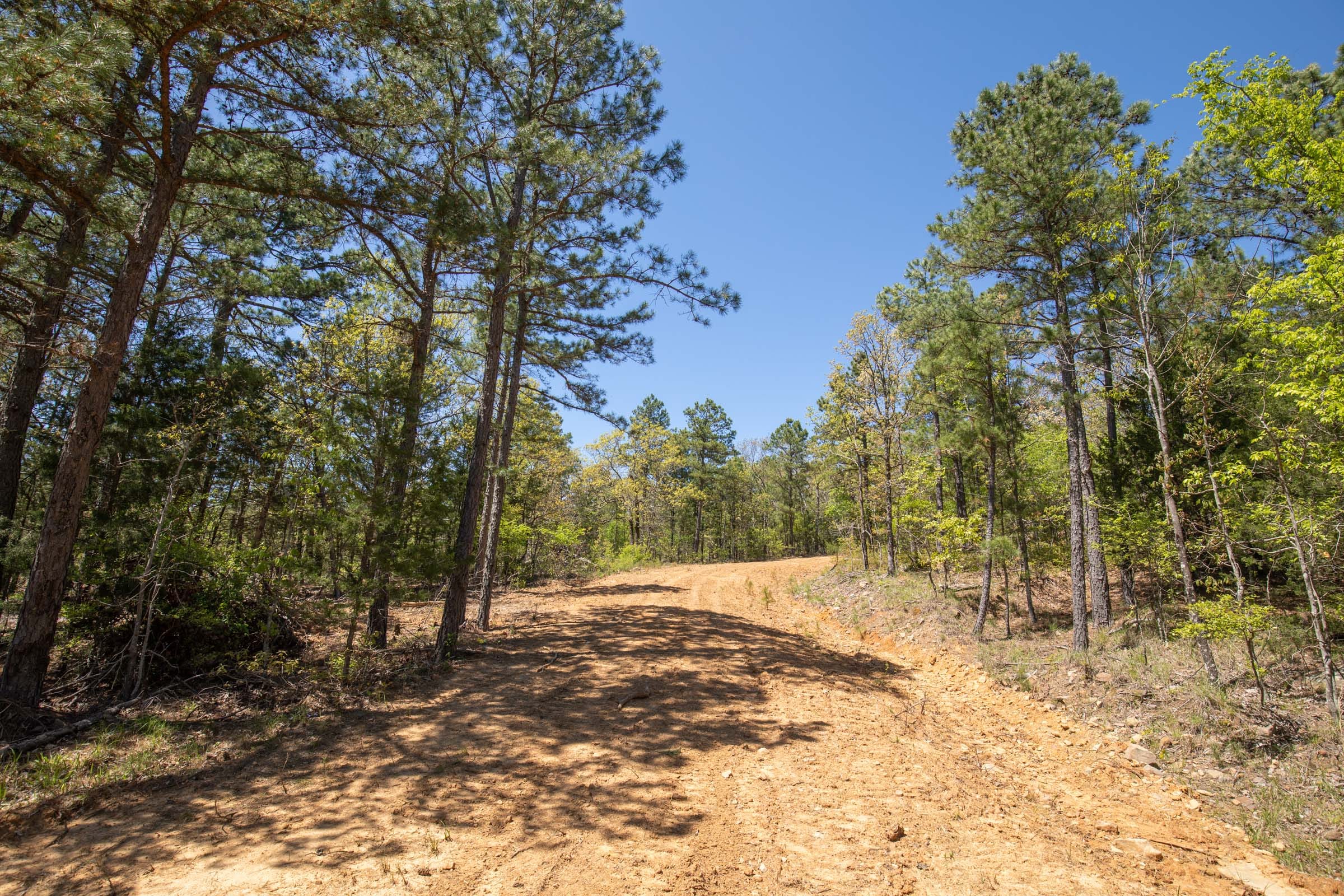 Eagle’s Nest Tract 12 photo 9