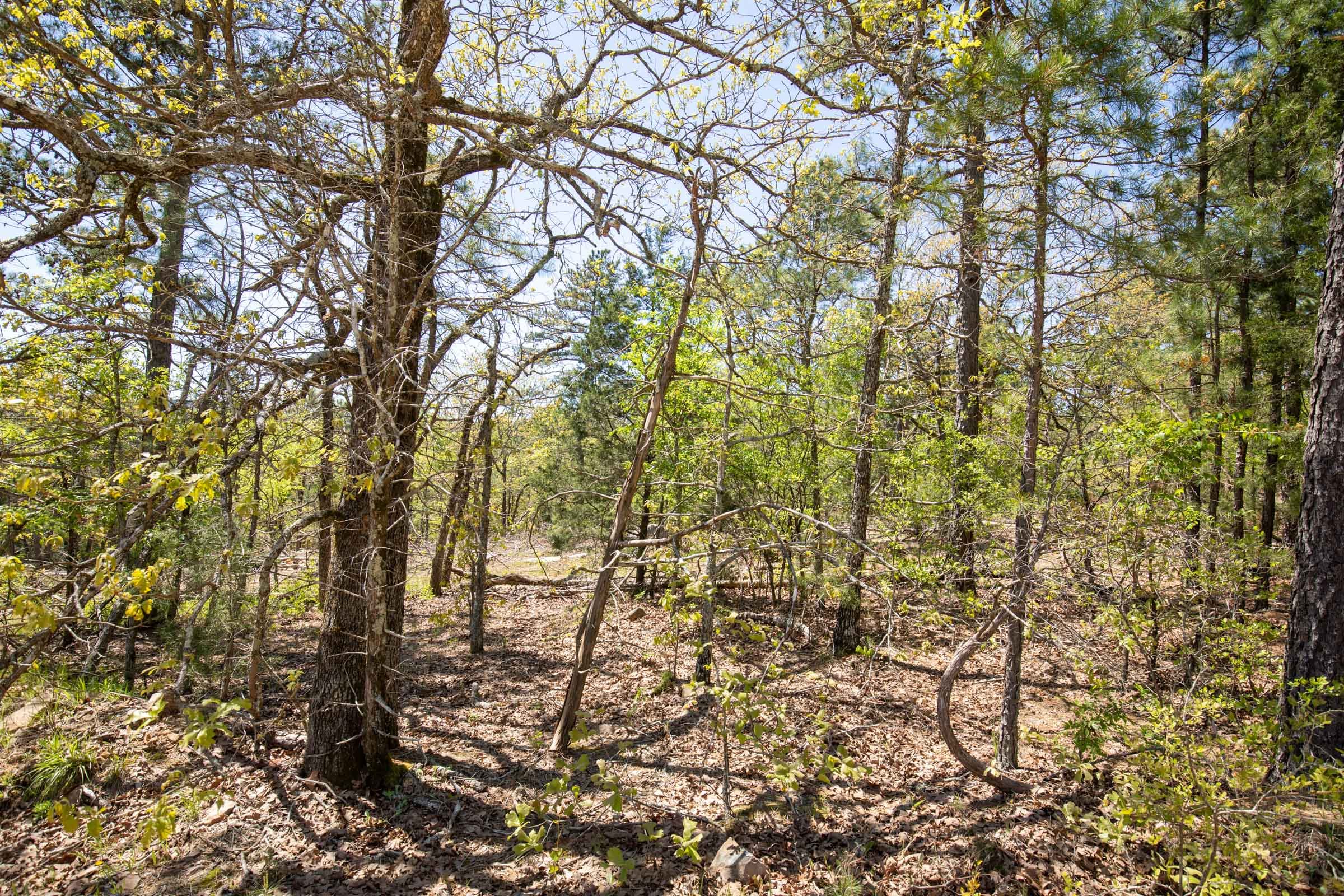 Eagle’s Nest Tract 12 photo 11