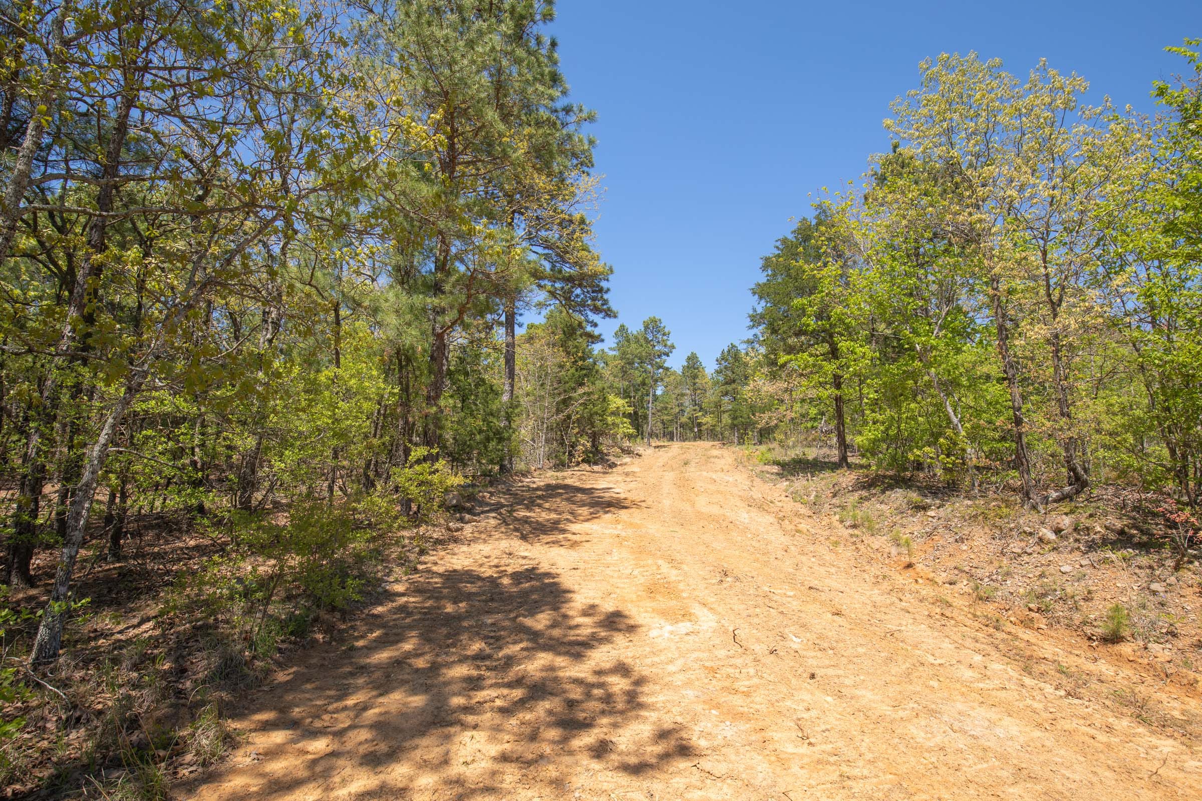 Eagle’s Nest Tract 12 photo 12