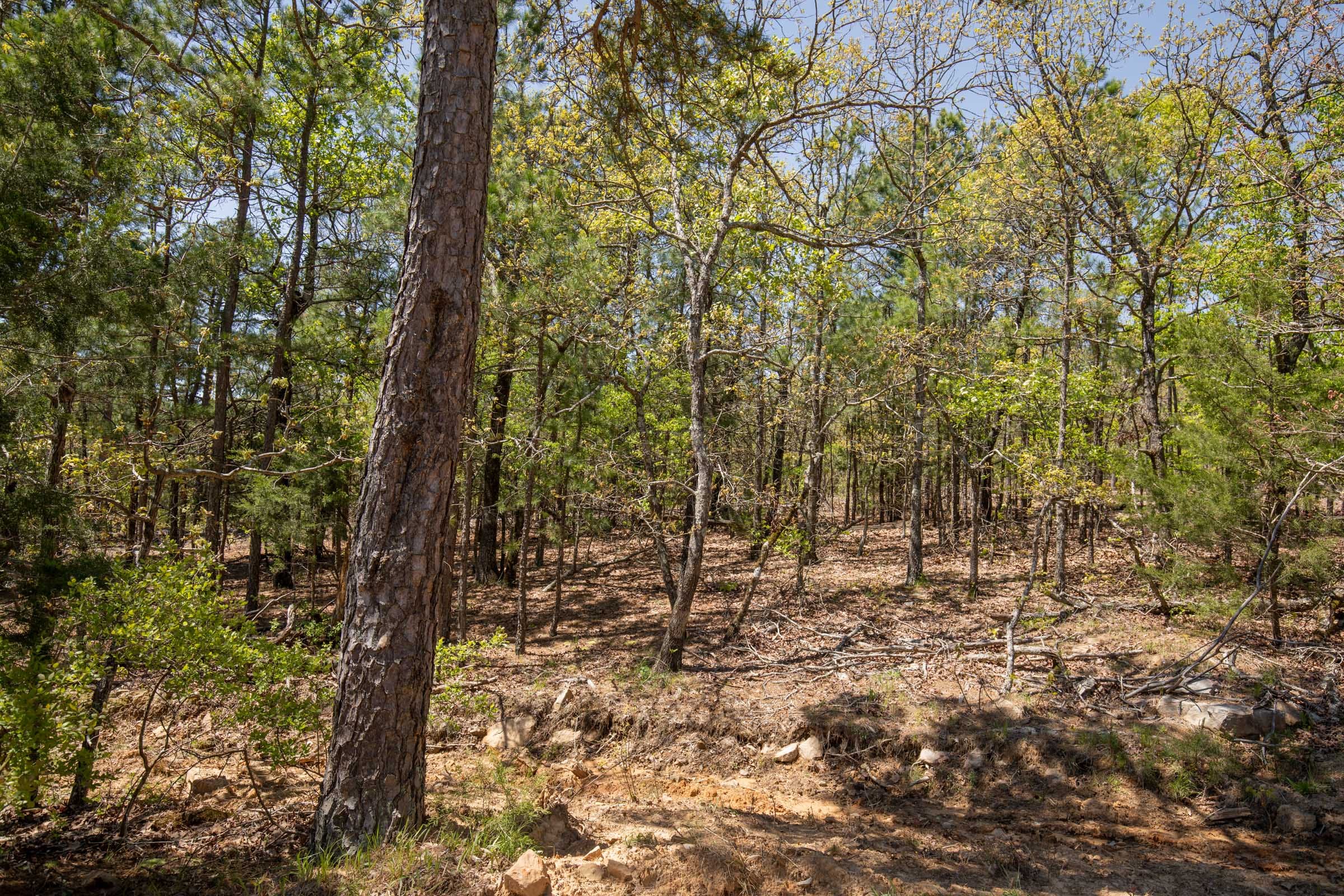 Eagle’s Nest Tract 12 photo 13
