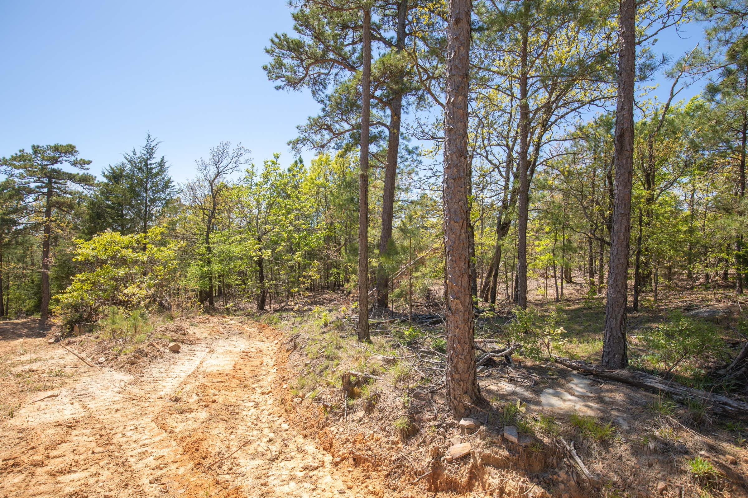 Eagle’s Nest Tract 12 photo 15