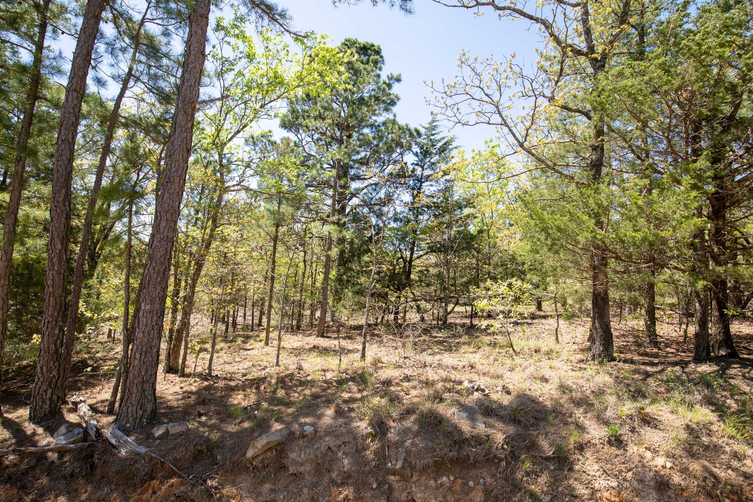 Eagle’s Nest Tract 12 photo 16