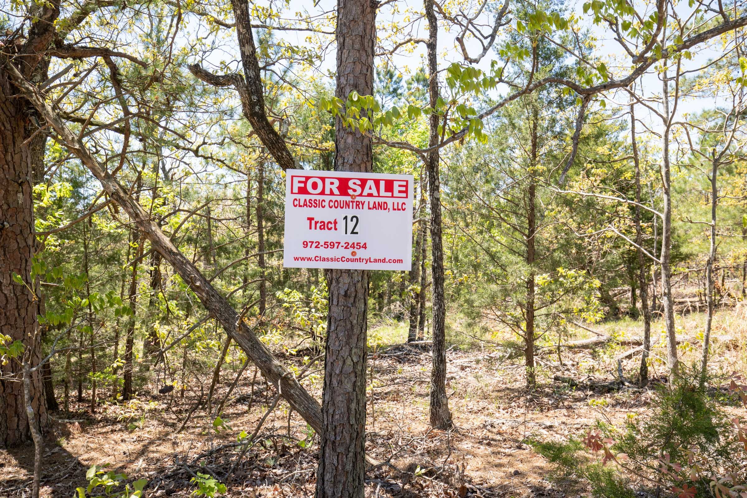 Eagle’s Nest Tract 12 photo 1