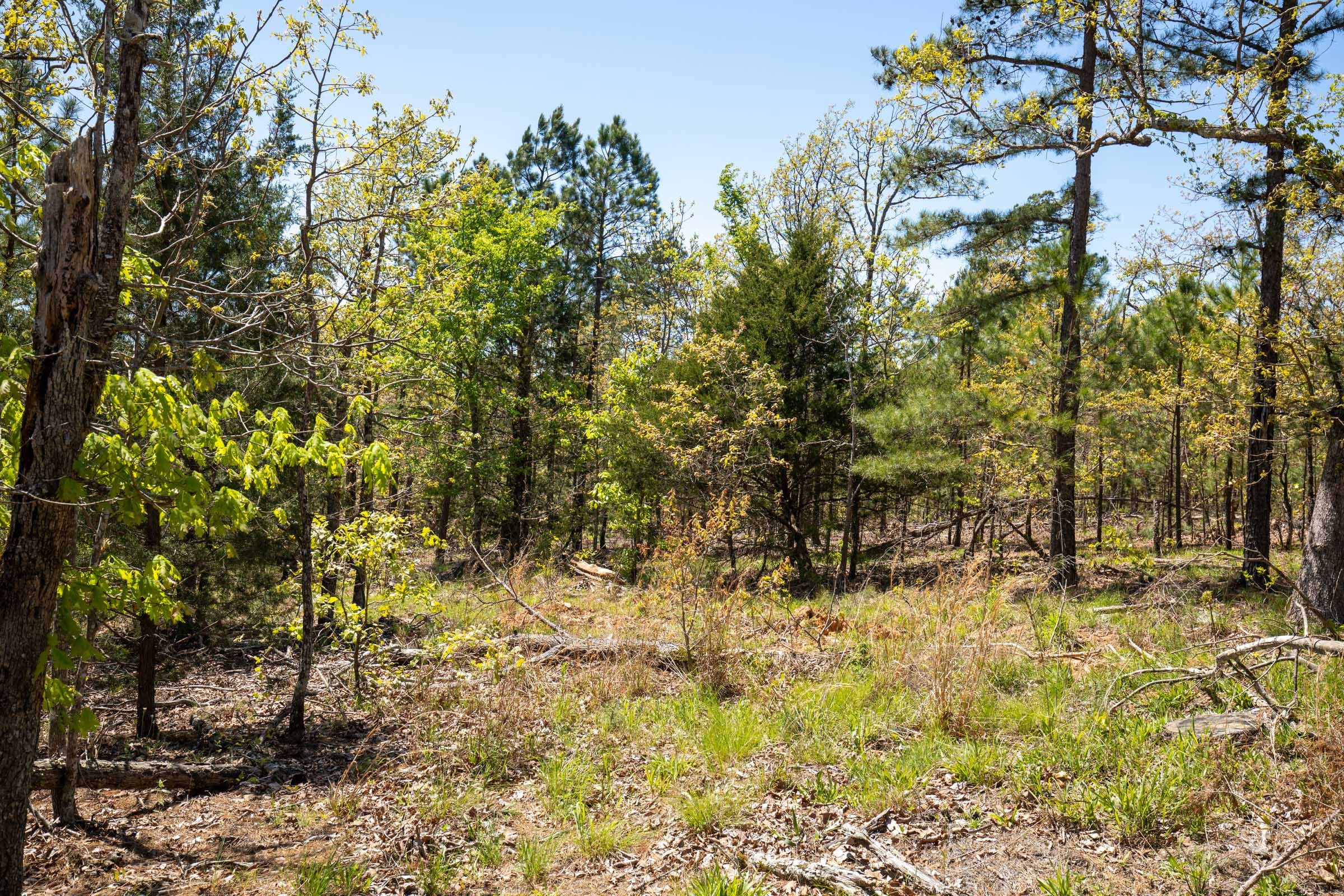 Eagle’s Nest Tract 12 photo 17