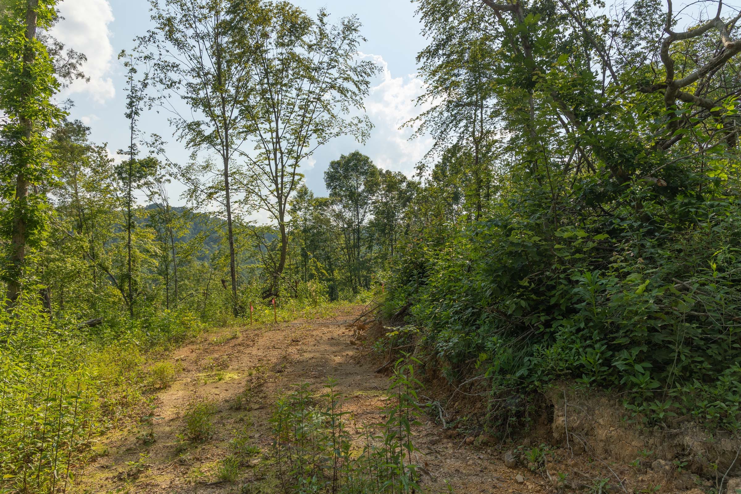 Creek Hollow Phase II Tract 82 photo 14