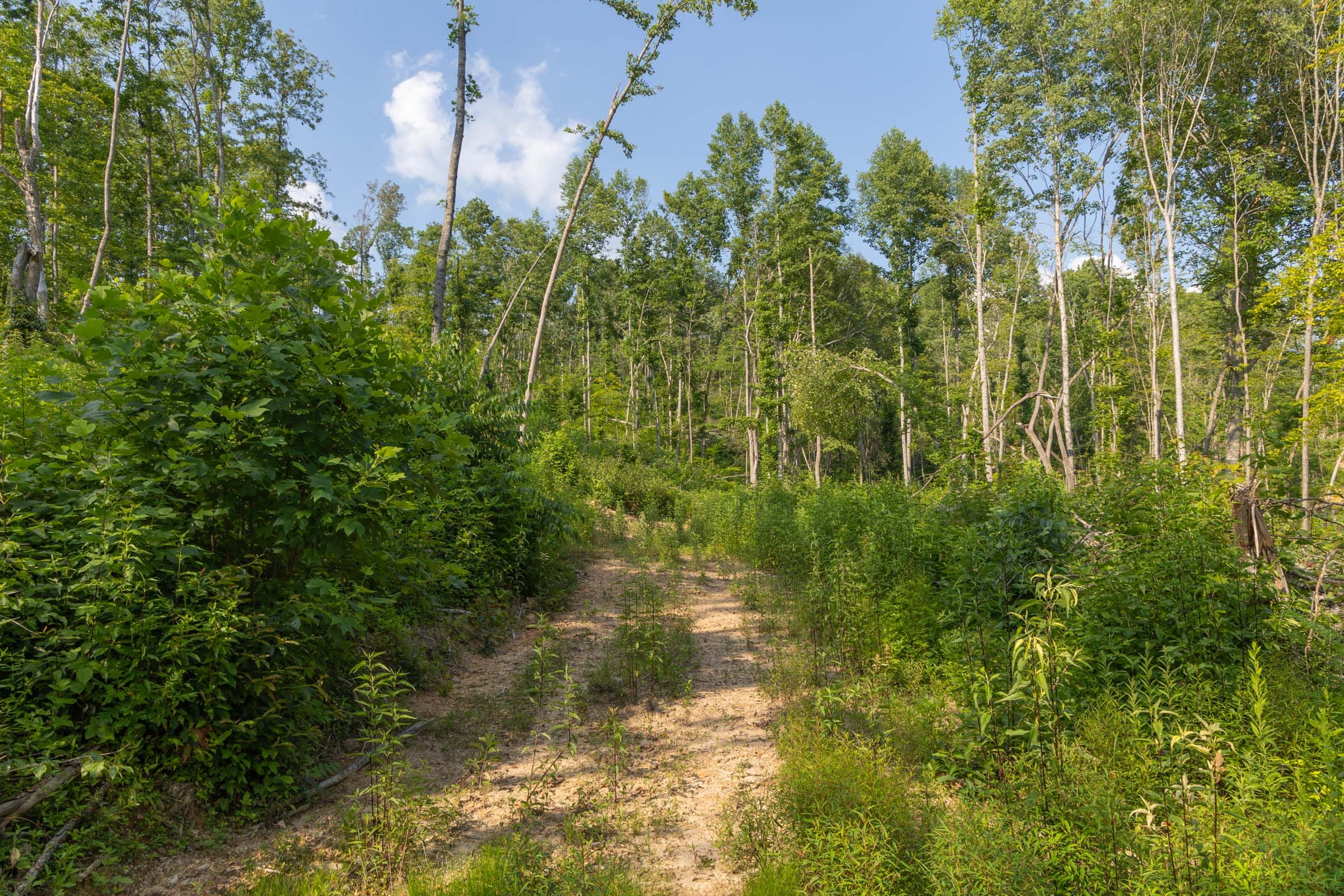 Creek Hollow Phase II Tract 82 photo 1