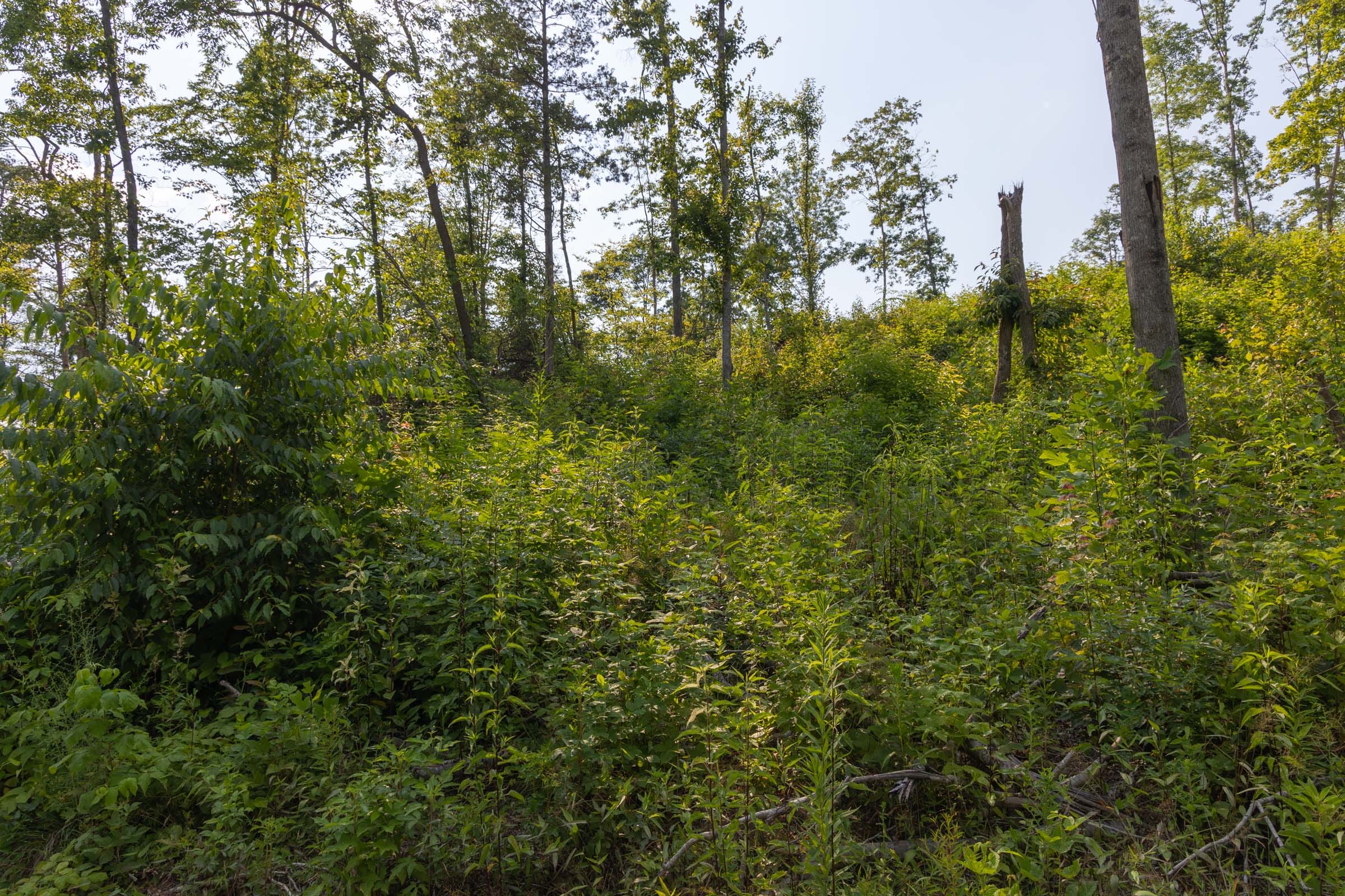 Creek Hollow Phase II Tract 82 photo 13