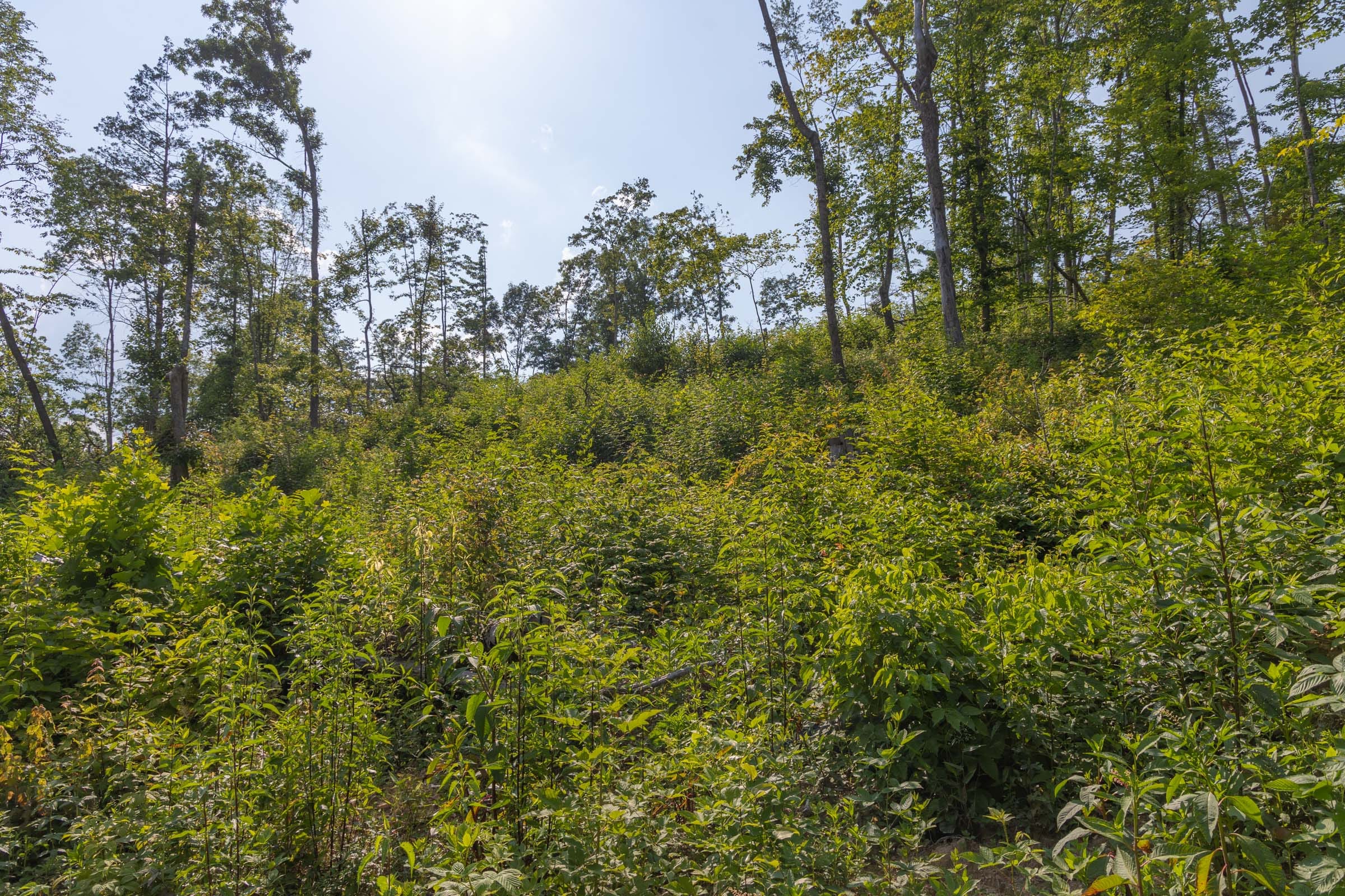Creek Hollow Phase II Tract 82 photo 11