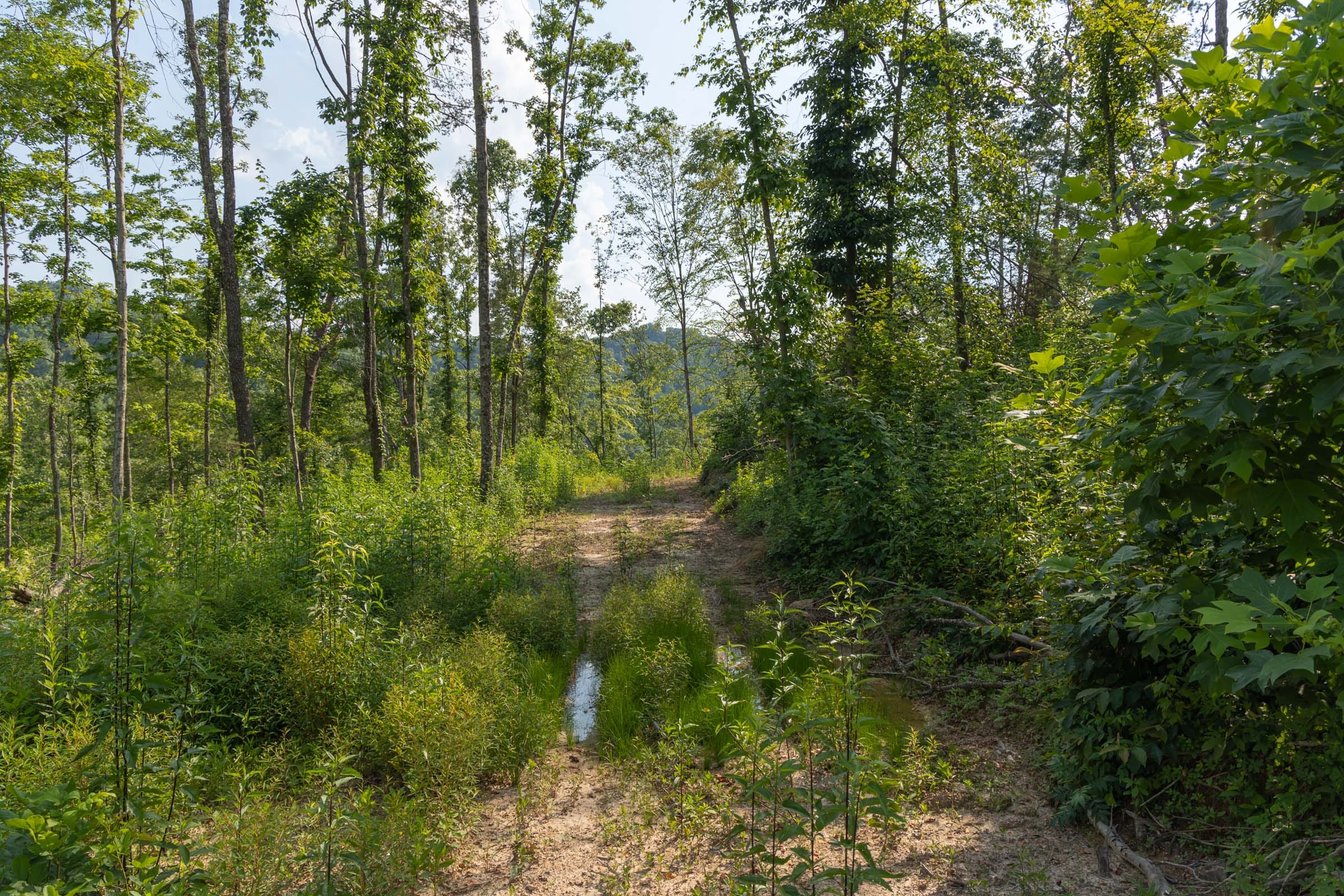 Creek Hollow Phase II Tract 82 photo 9