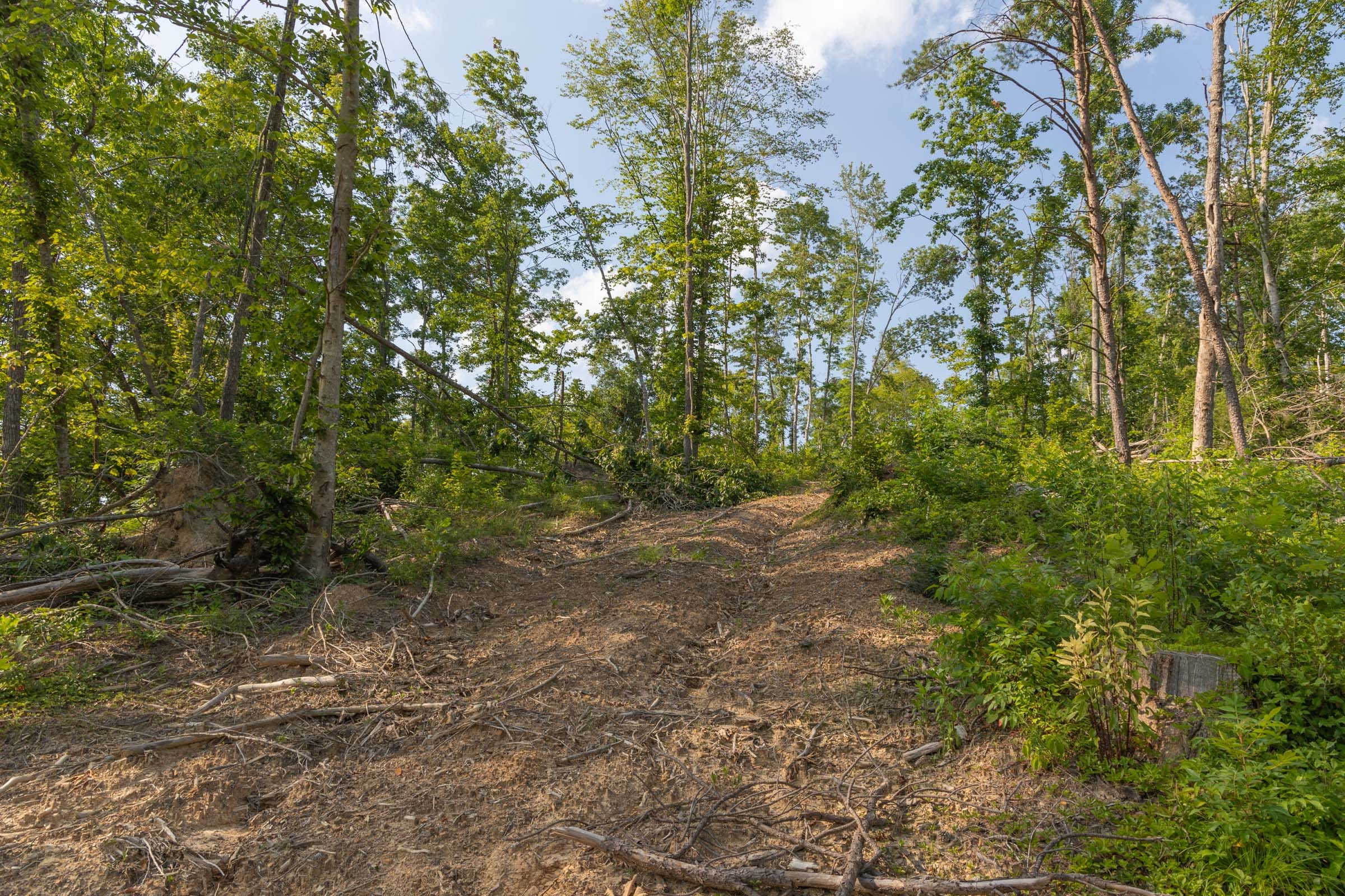 Creek Hollow Phase II Tract 82 photo 8