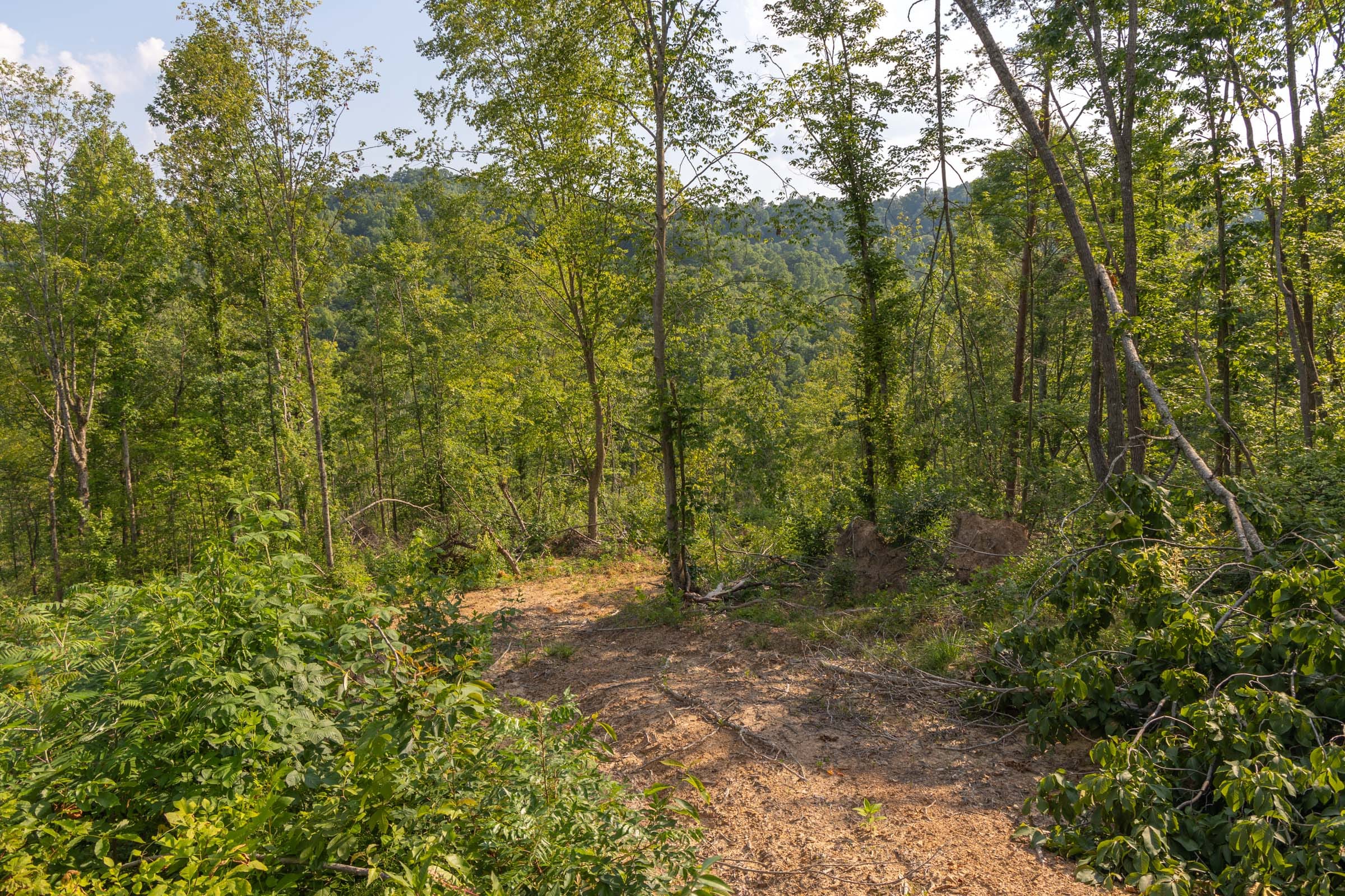 Creek Hollow Phase II Tract 82 photo 7