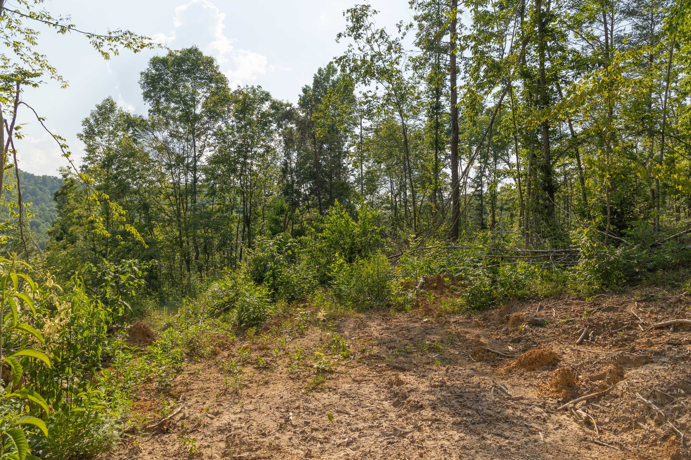 Creek Hollow Phase II Tract 82 photo 6