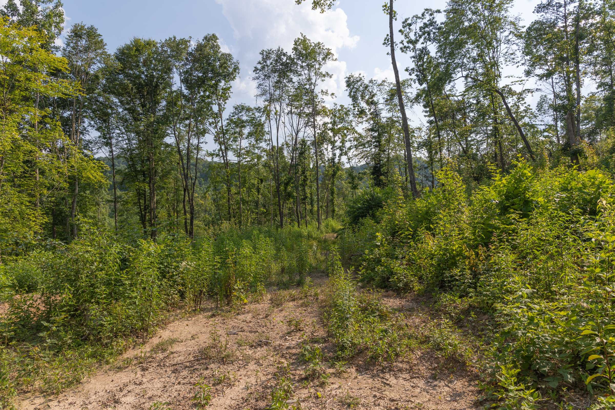 Creek Hollow Phase II Tract 82 photo 5