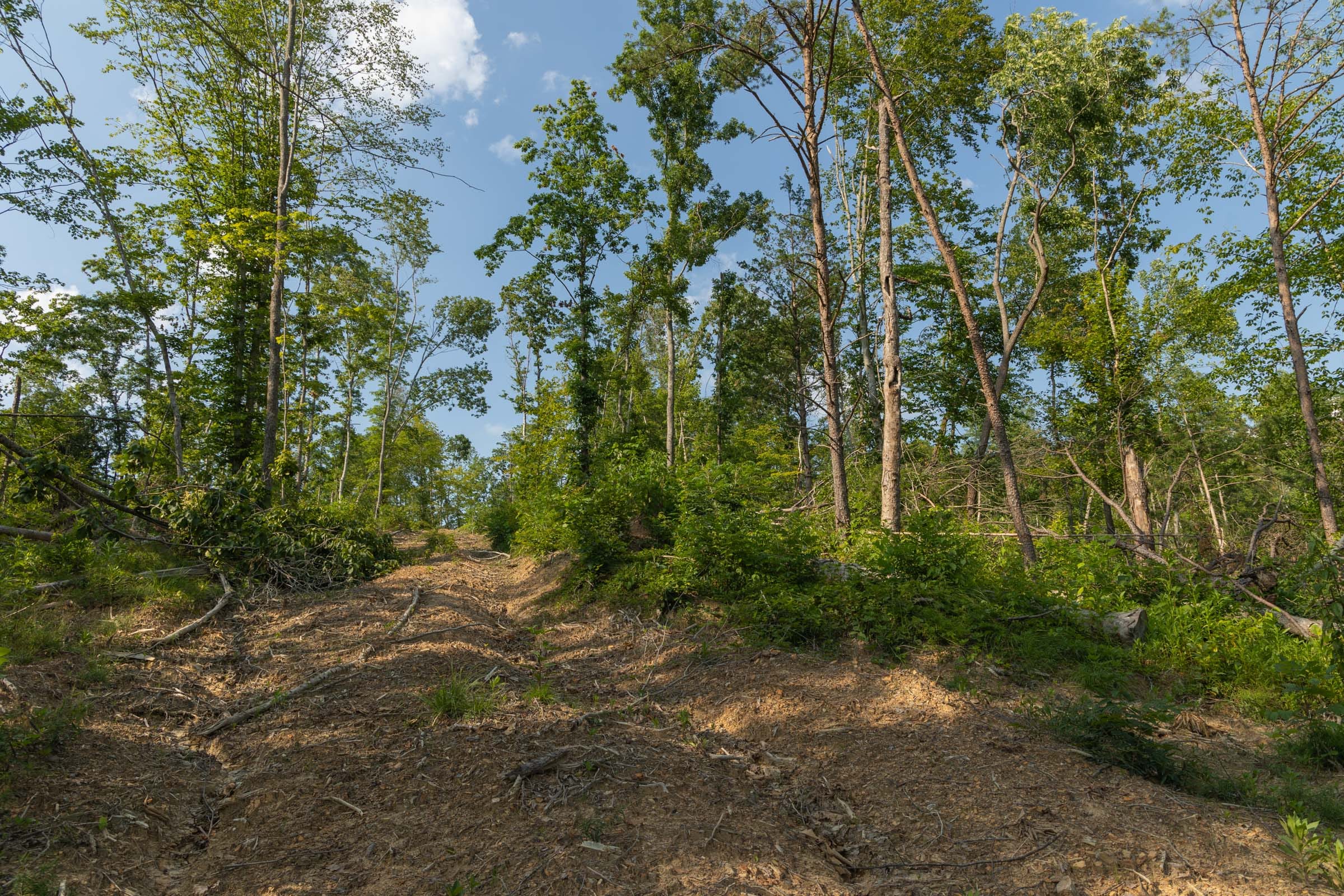 Creek Hollow Phase II Tract 82 photo 3