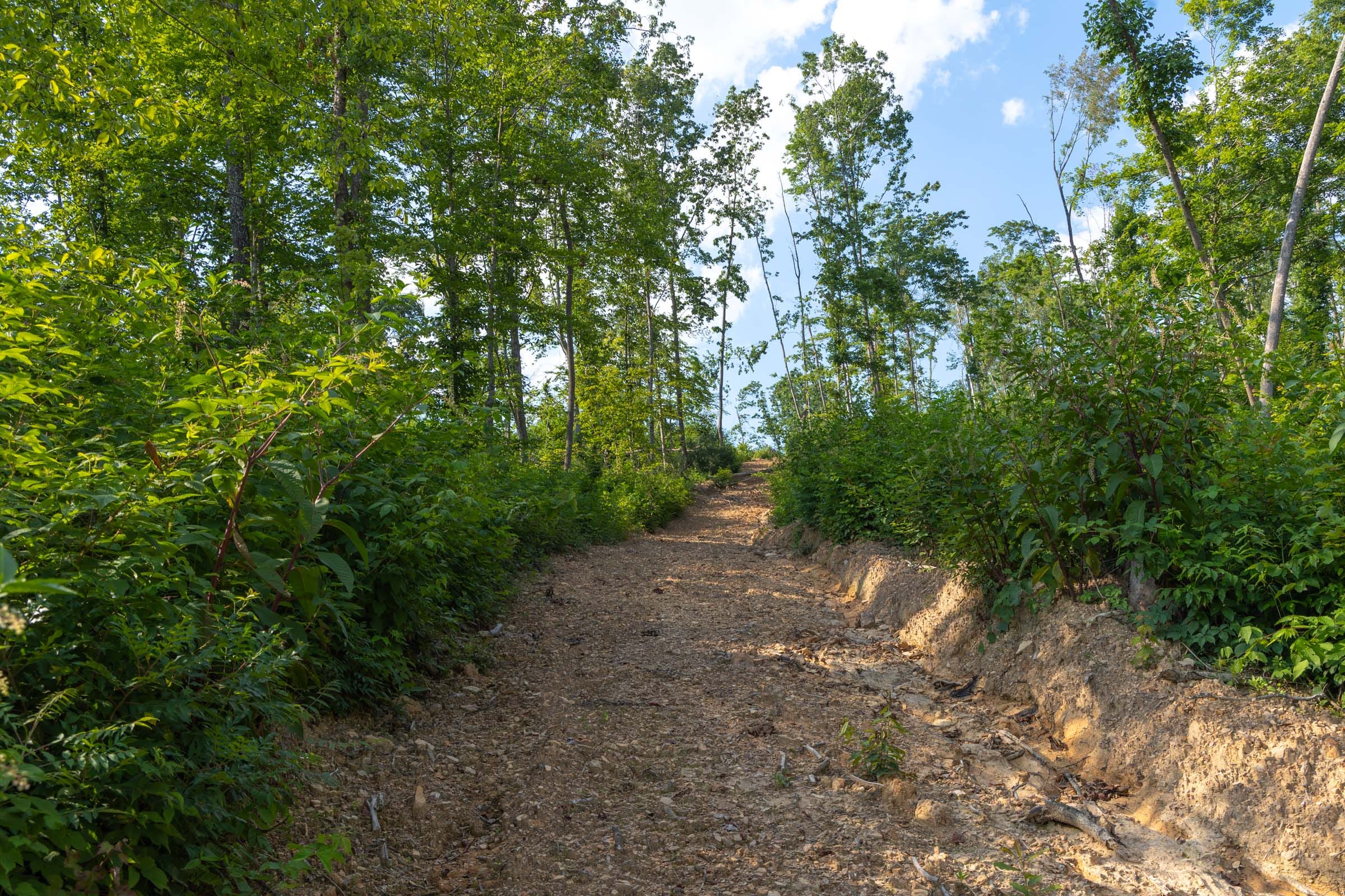 Creek Hollow Phase II Tract 82 photo 2