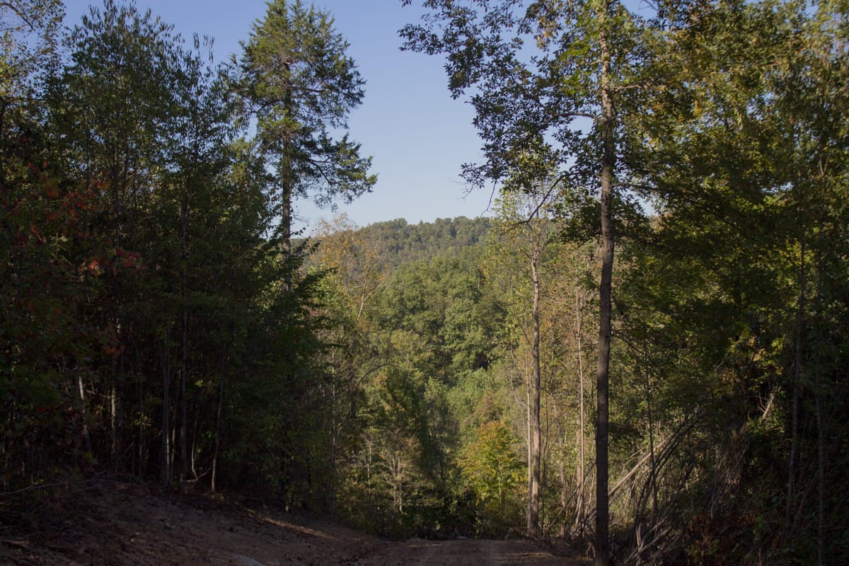 Black Oak Ranch Tract 10 photo 3