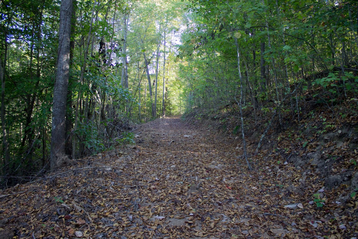 Black Oak Ranch Tract 10 photo 4