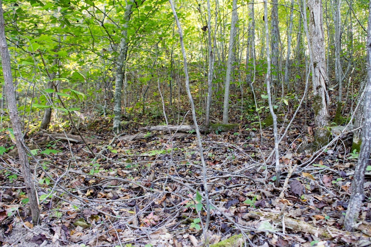Black Oak Ranch Tract 10 photo 8