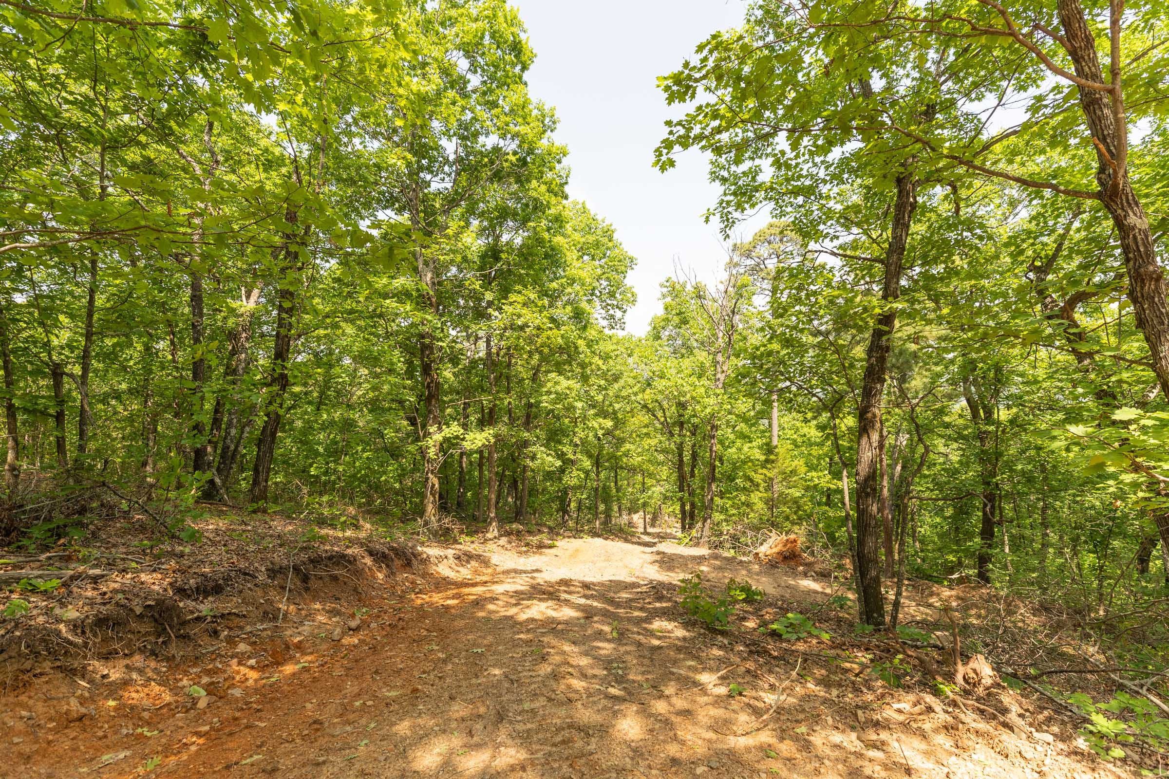 Stone Bridge Reserve Tract 34 photo 14