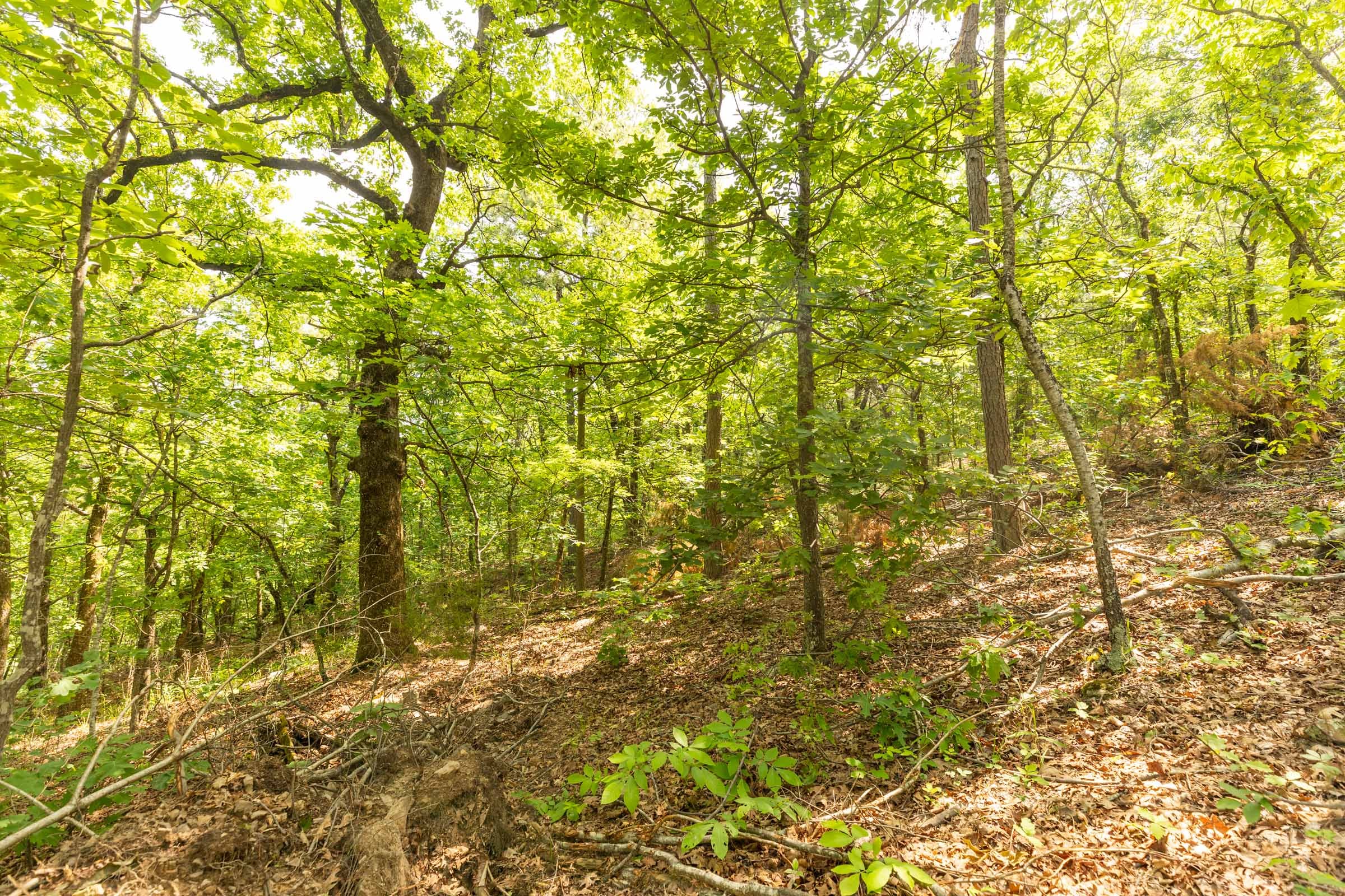 Stone Bridge Reserve Tract 34 photo 18