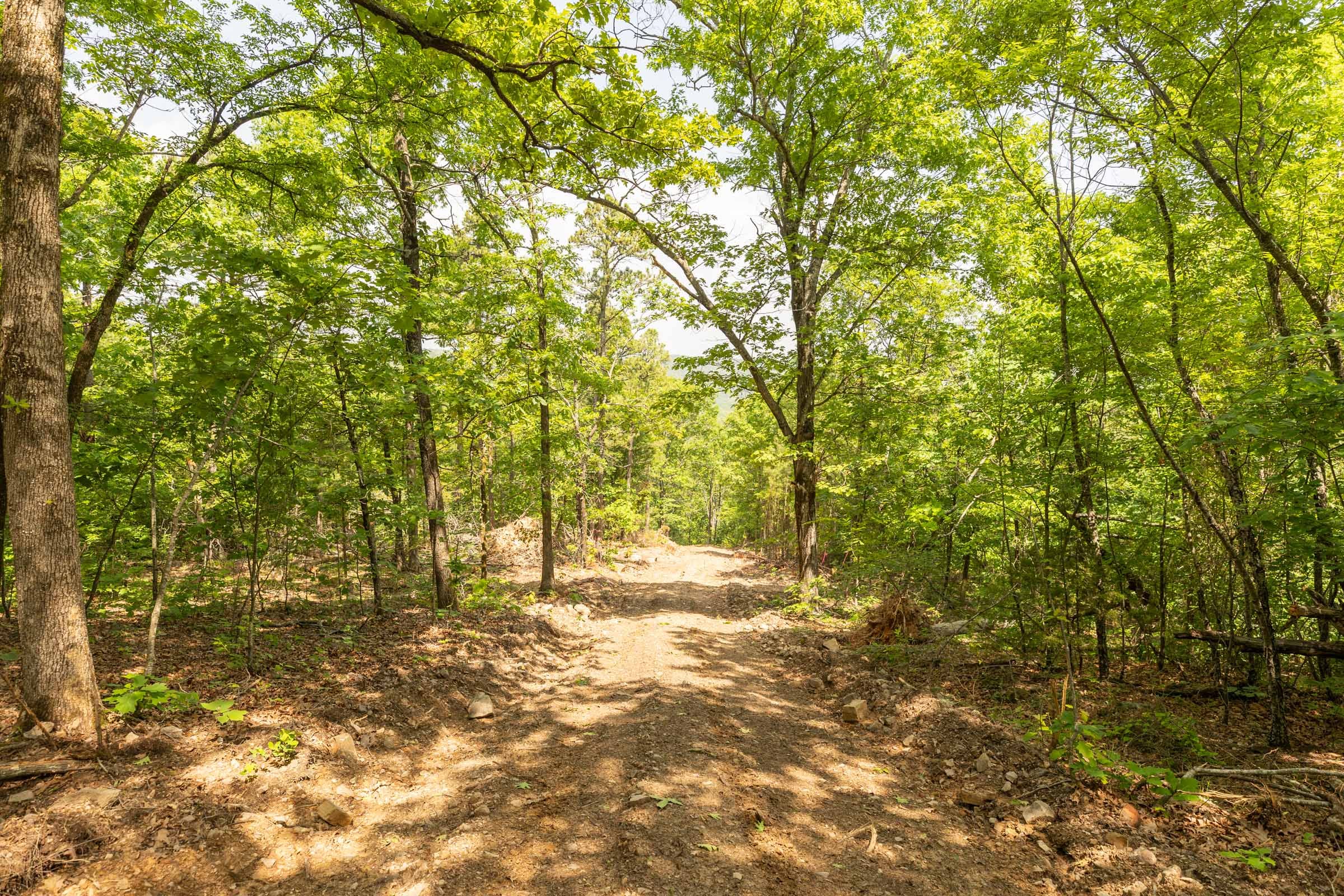 Stone Bridge Reserve Tract 34 photo 16
