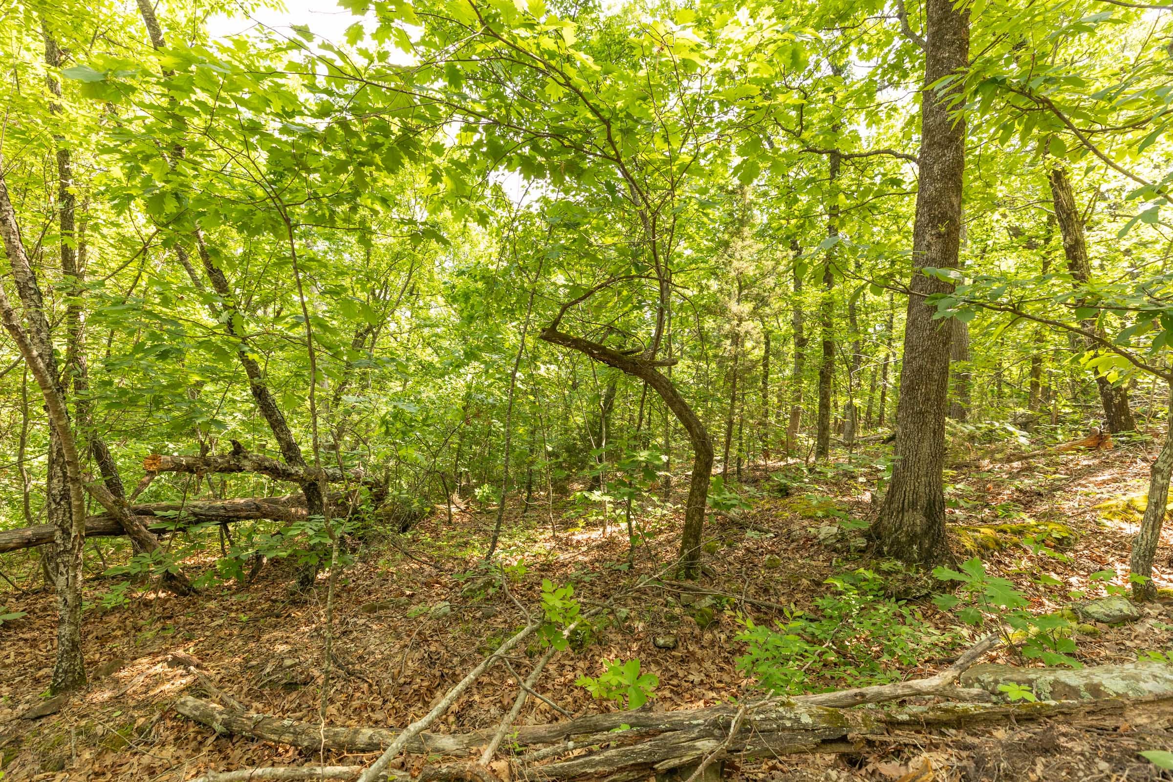 Stone Bridge Reserve Tract 34 photo 15