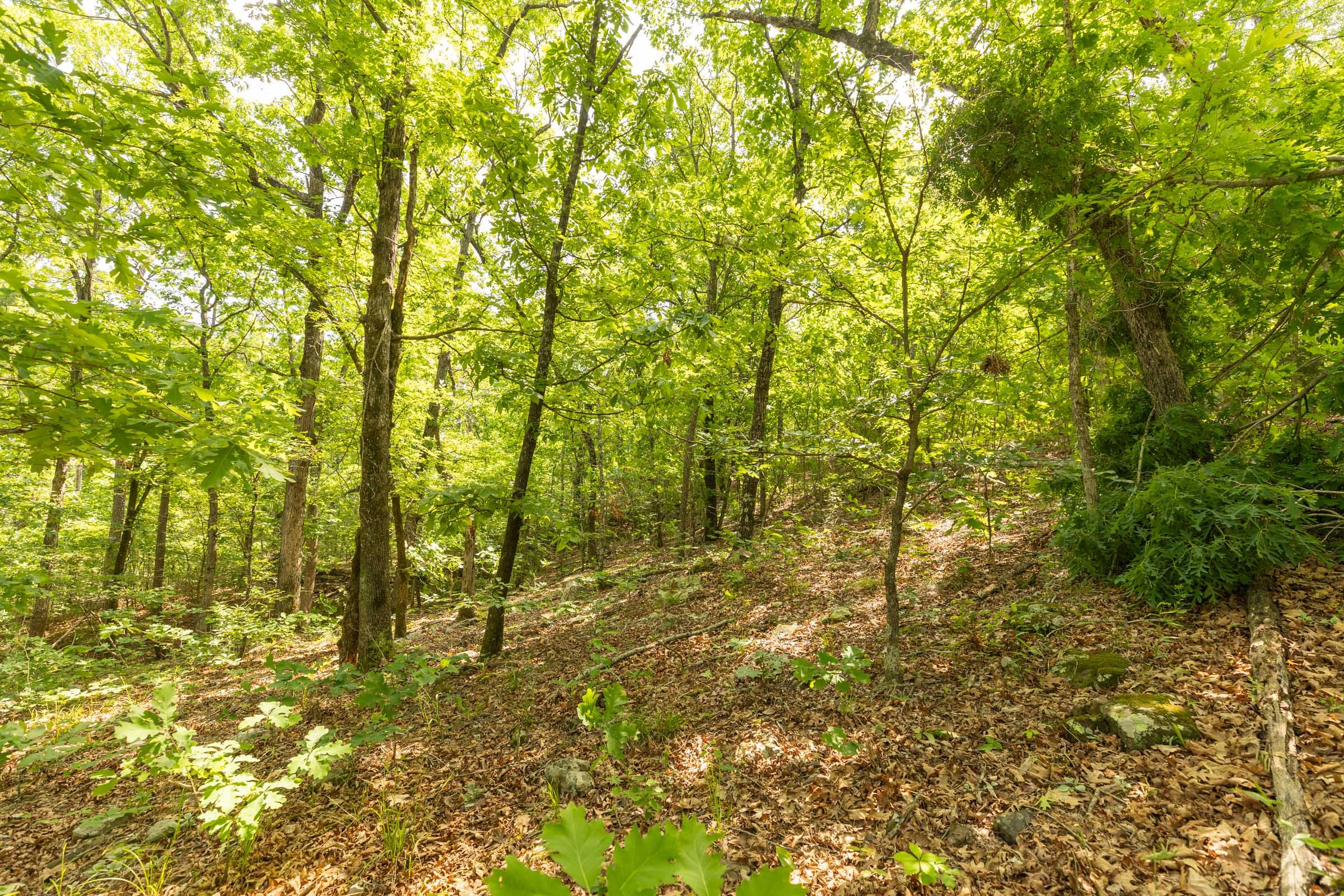 Stone Bridge Reserve Tract 34 photo 11
