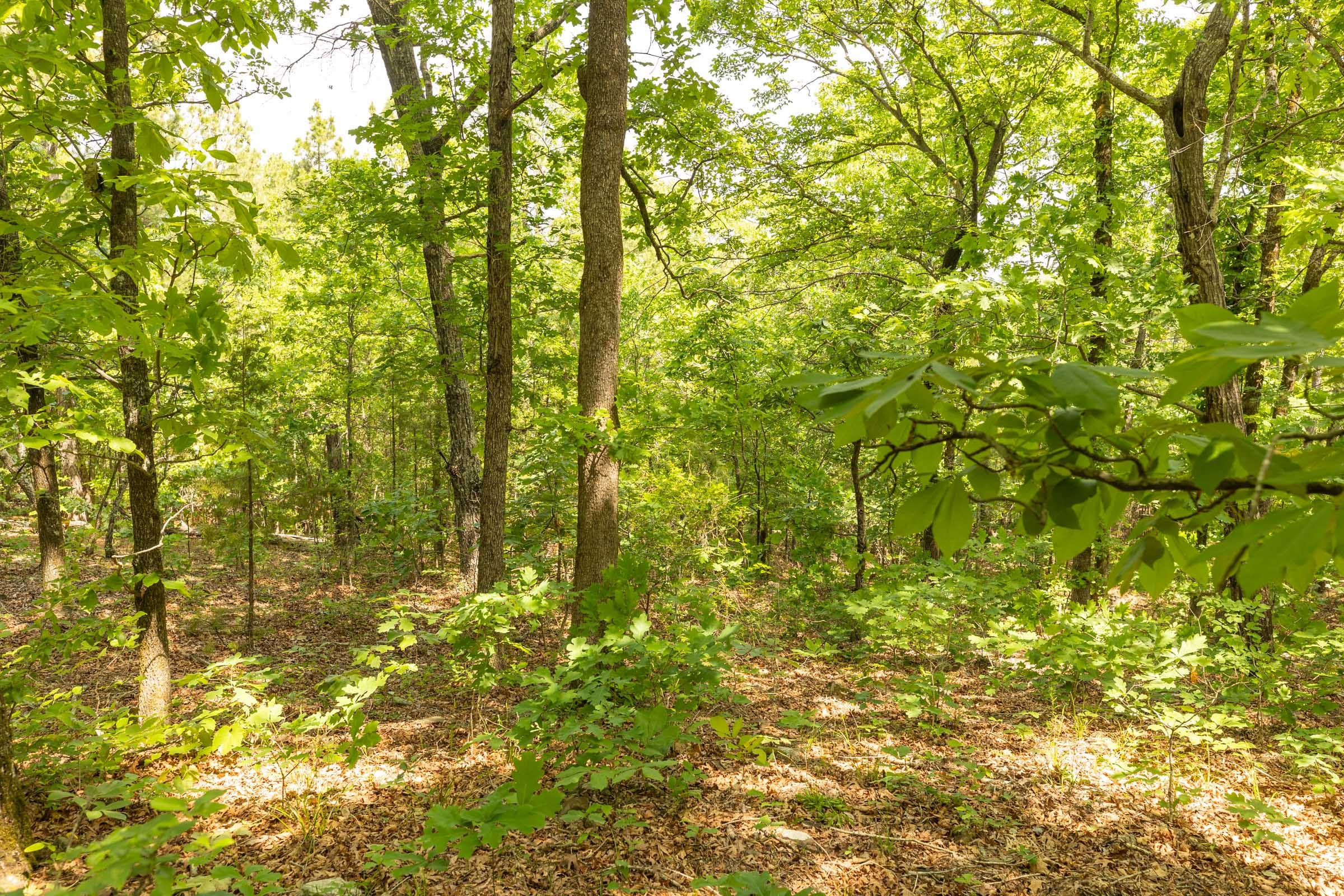 Stone Bridge Reserve Tract 34 photo 10