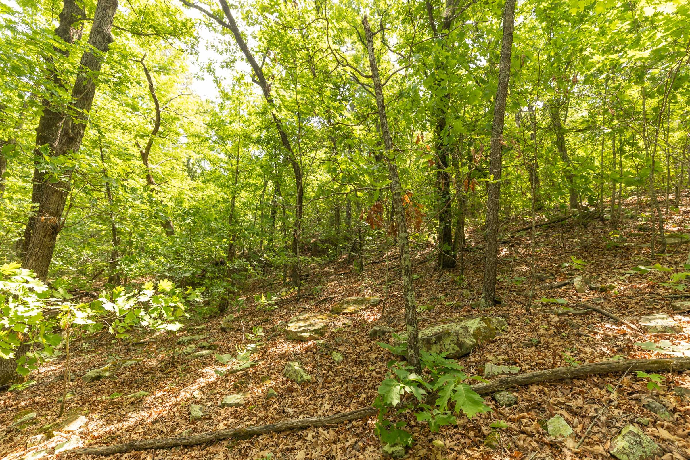 Stone Bridge Reserve Tract 34 photo 9