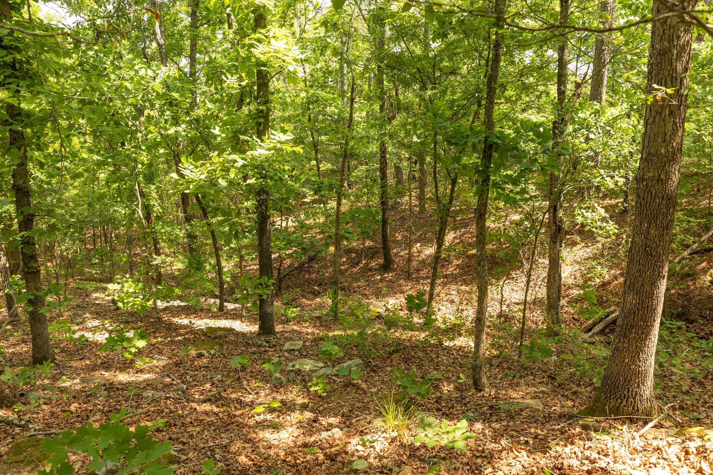 Stone Bridge Reserve Tract 34 photo 8