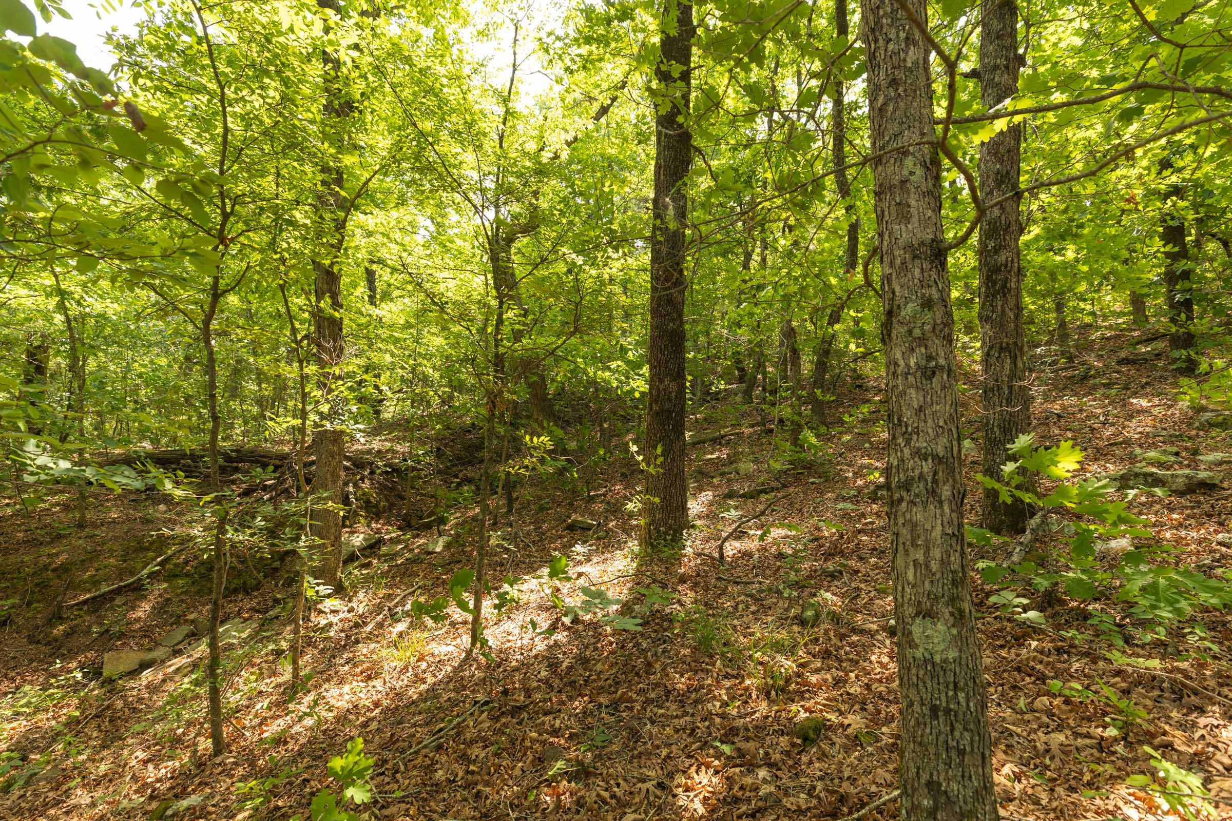 Stone Bridge Reserve Tract 34 photo 21