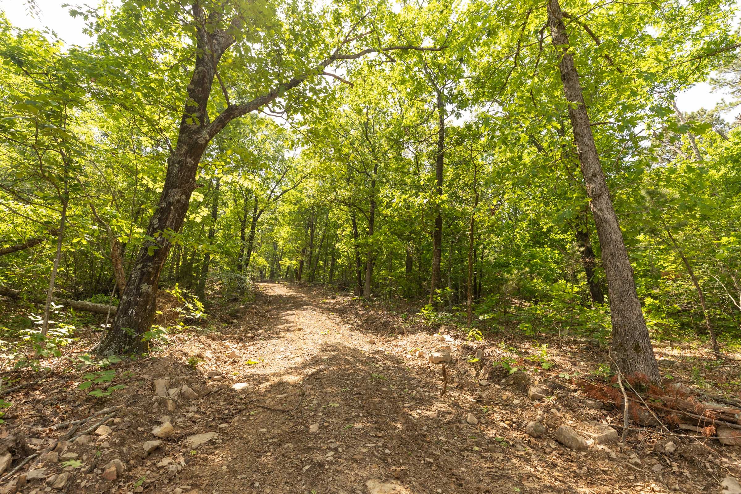 Stone Bridge Reserve Tract 34 photo 2
