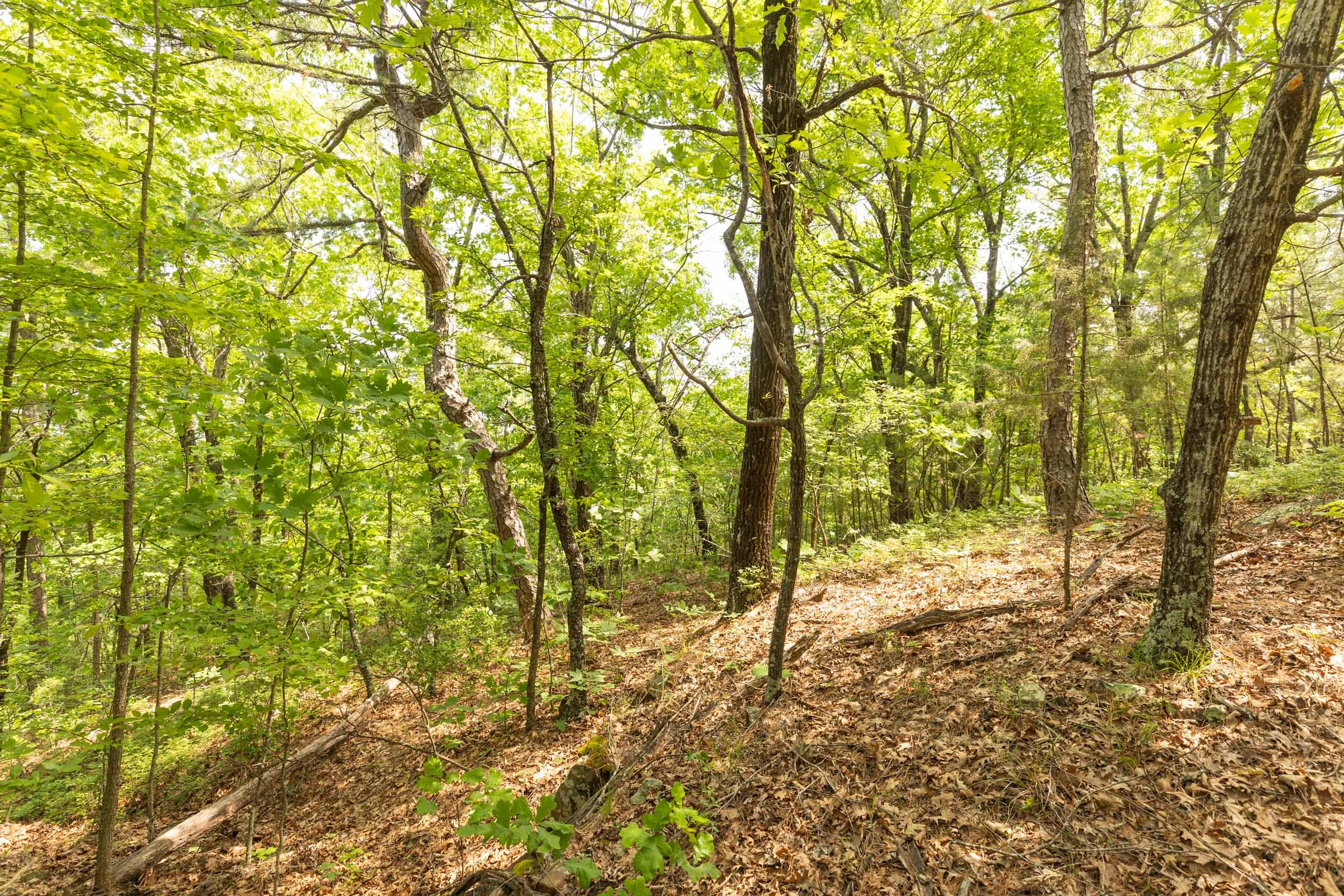 Stone Bridge Reserve Tract 34 photo 6