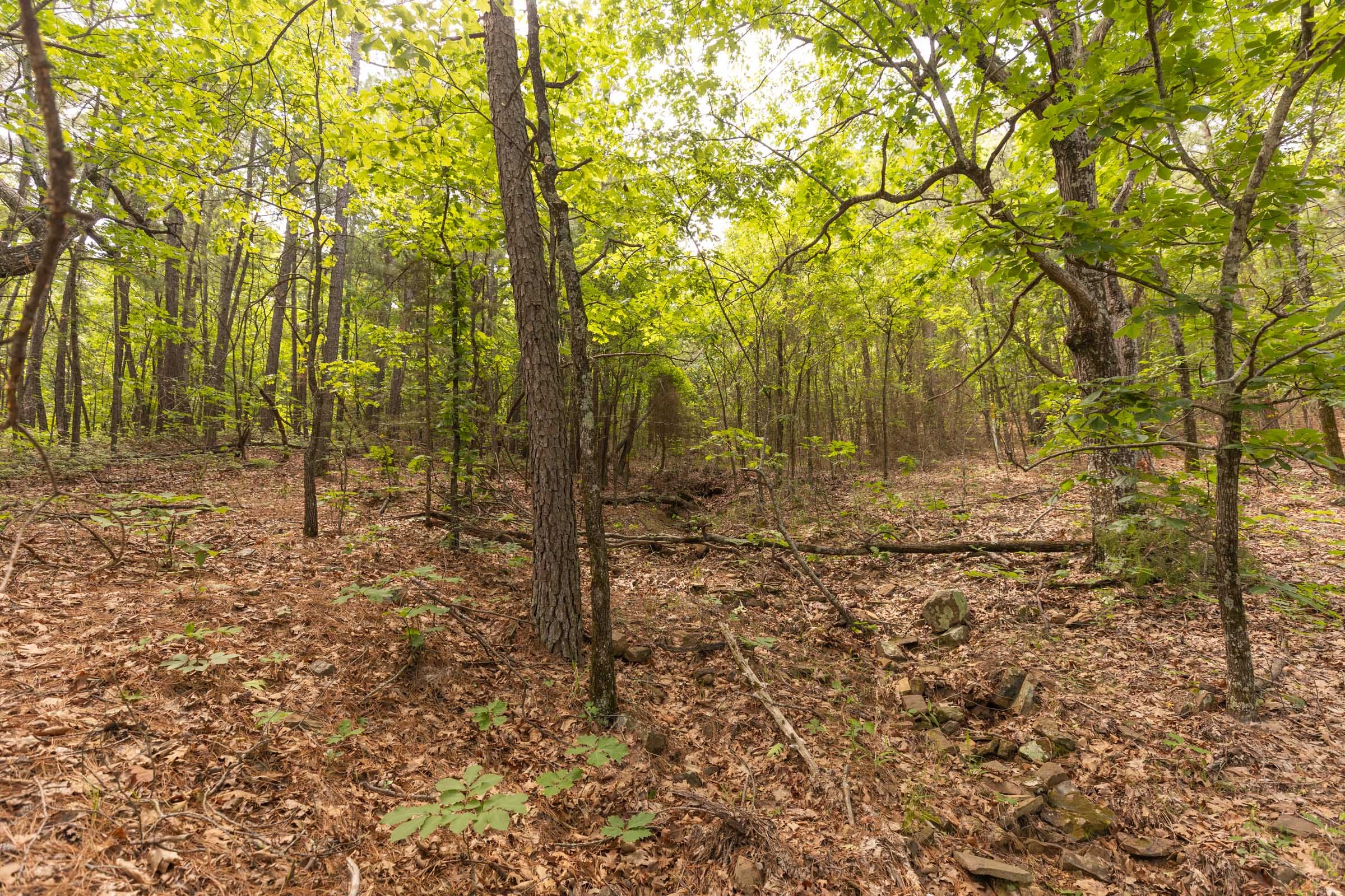 Stone Bridge Reserve Tract 34 photo 5
